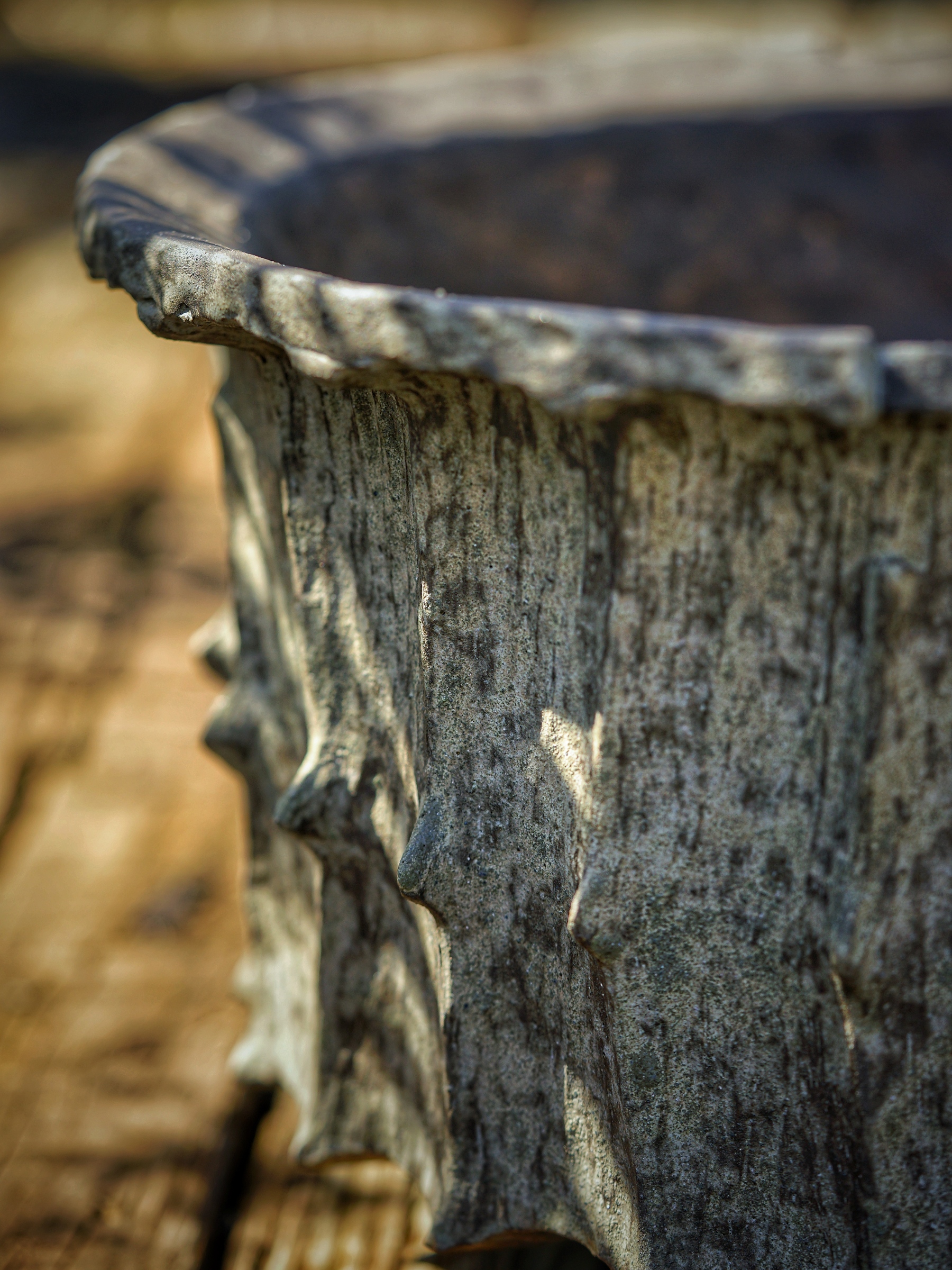 image_852F58EA-D769-43F3-9E85-9462F9F5C1CA_1784350189