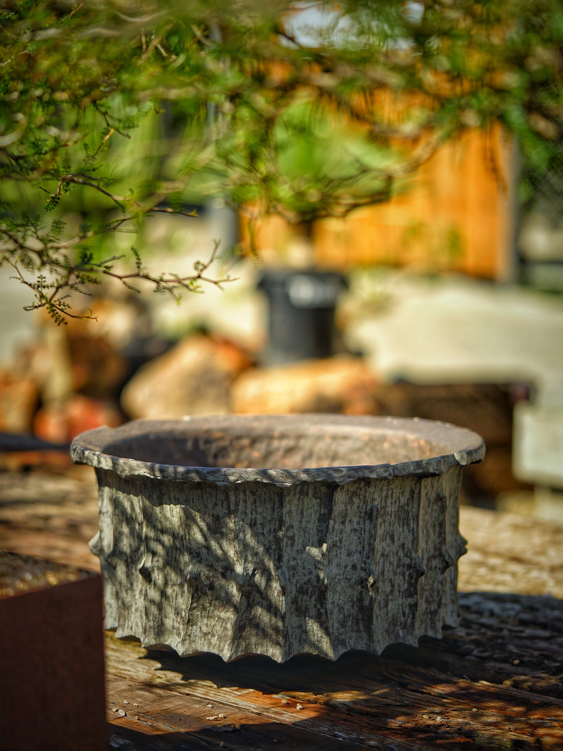 image_D30D743A-4BB8-4C02-A94A-75163AB280A5_1784350189