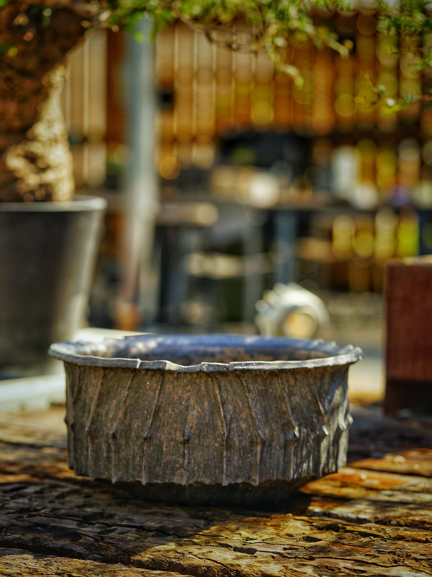 image_D80CE0FB-F76F-4CAD-8BF2-76D032684EFF_1784350264