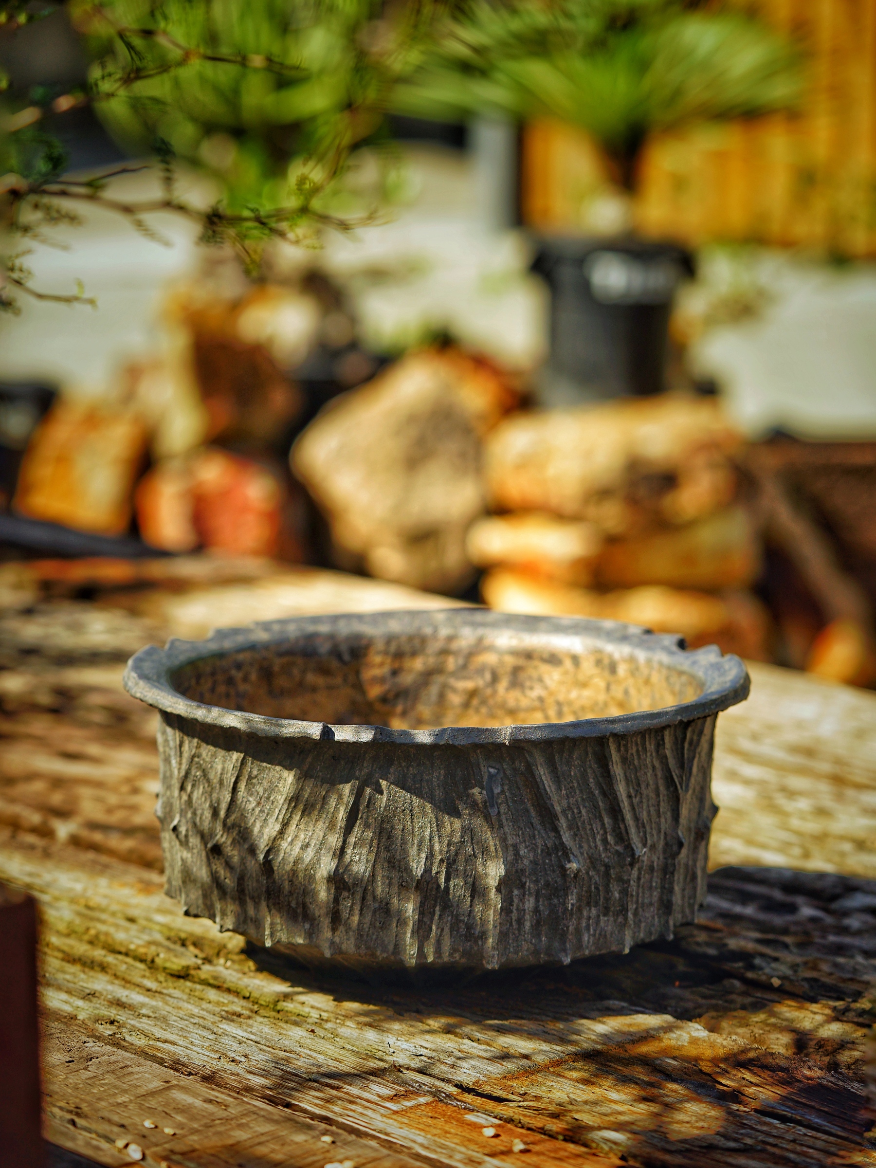 image_CAA75452-A12E-4028-9BEA-803D8CEFB7CE_1784350264