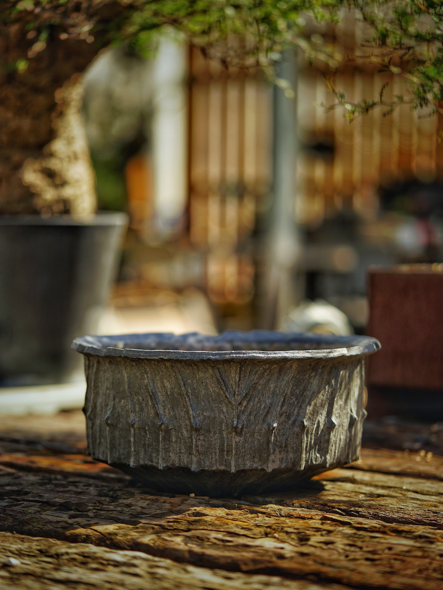 image_3CC9F1F7-CEAD-4DDE-94B6-C1BB781172CF_1784350264
