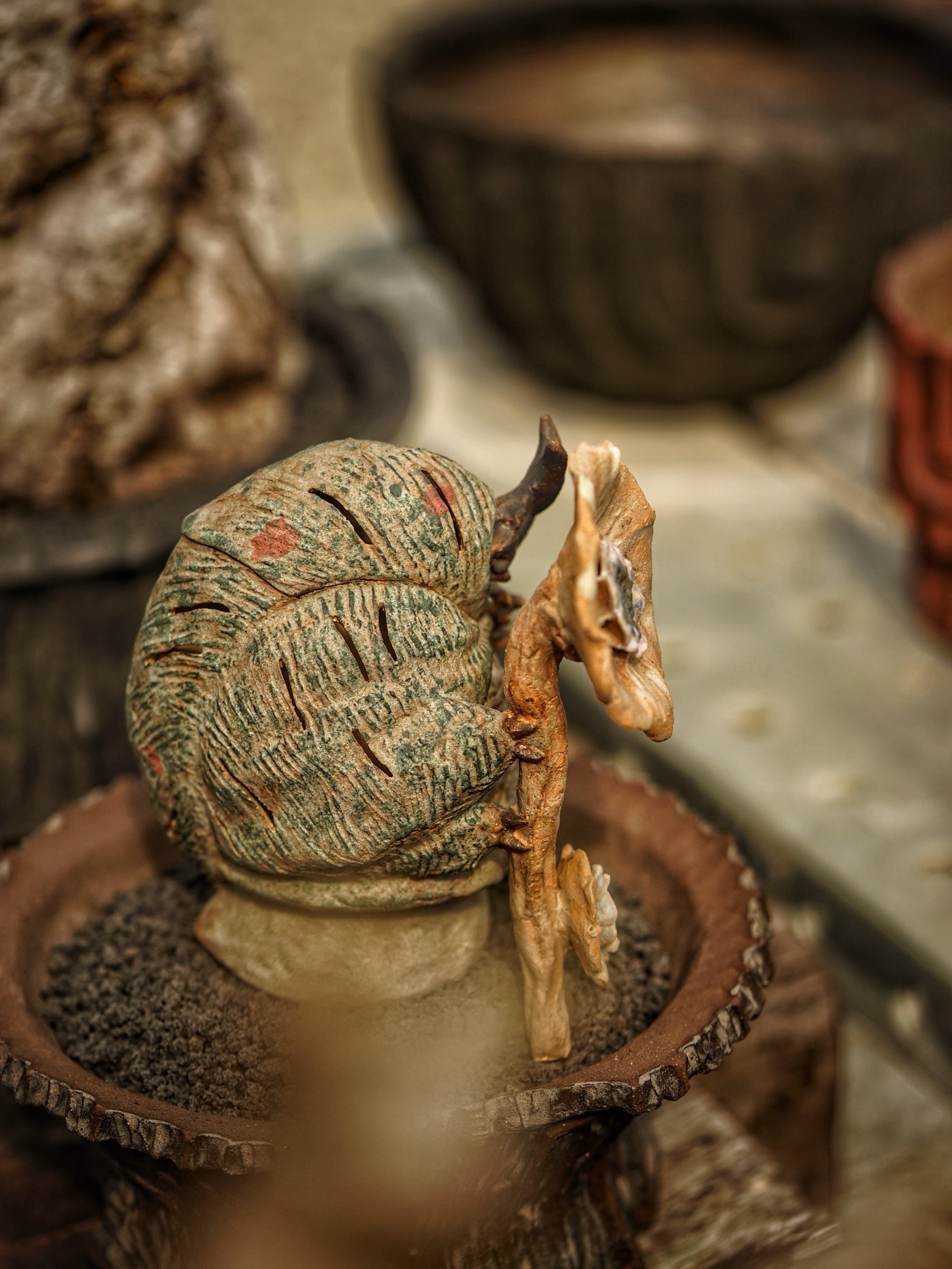 image_405D164C-EEC4-4EB4-9E88-4DF36002EBC3_1785478687