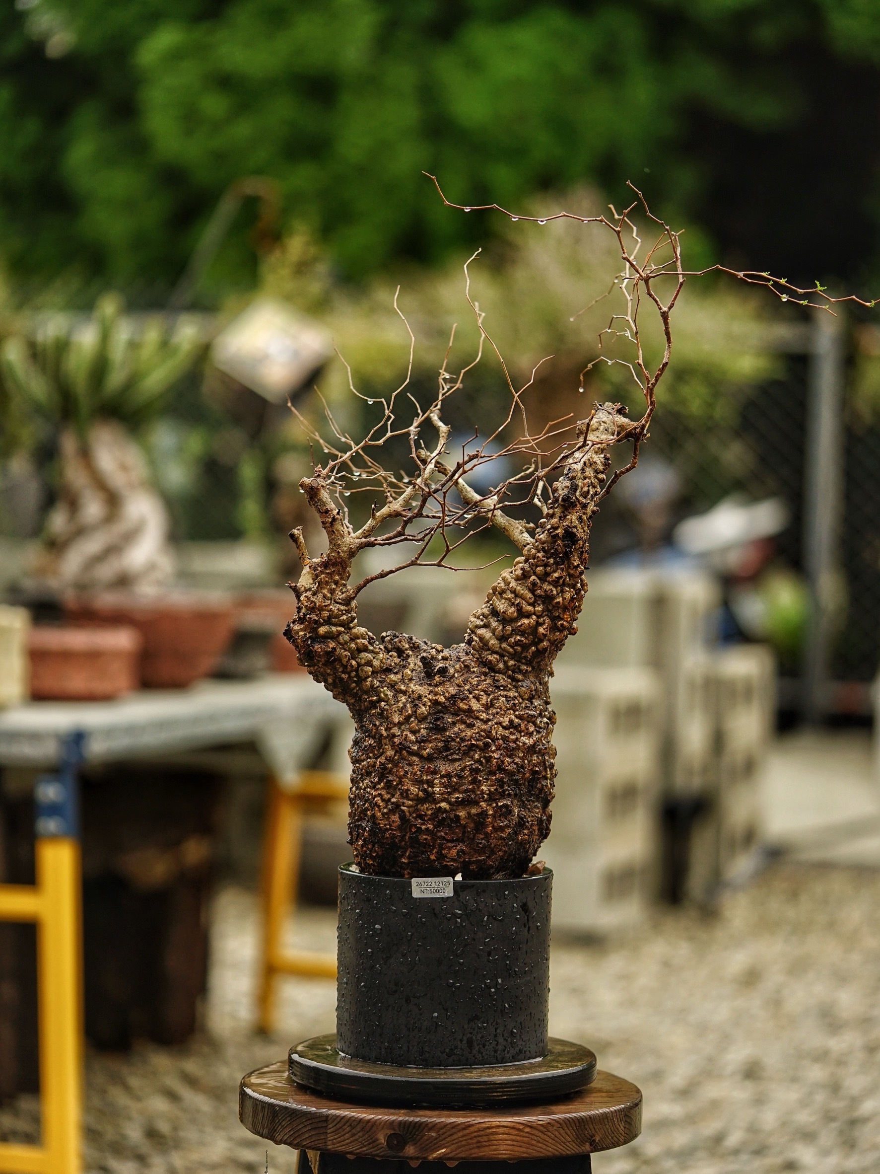 image_7EFB7D4B-3683-465E-96F8-FF310E8920AE_1785488265