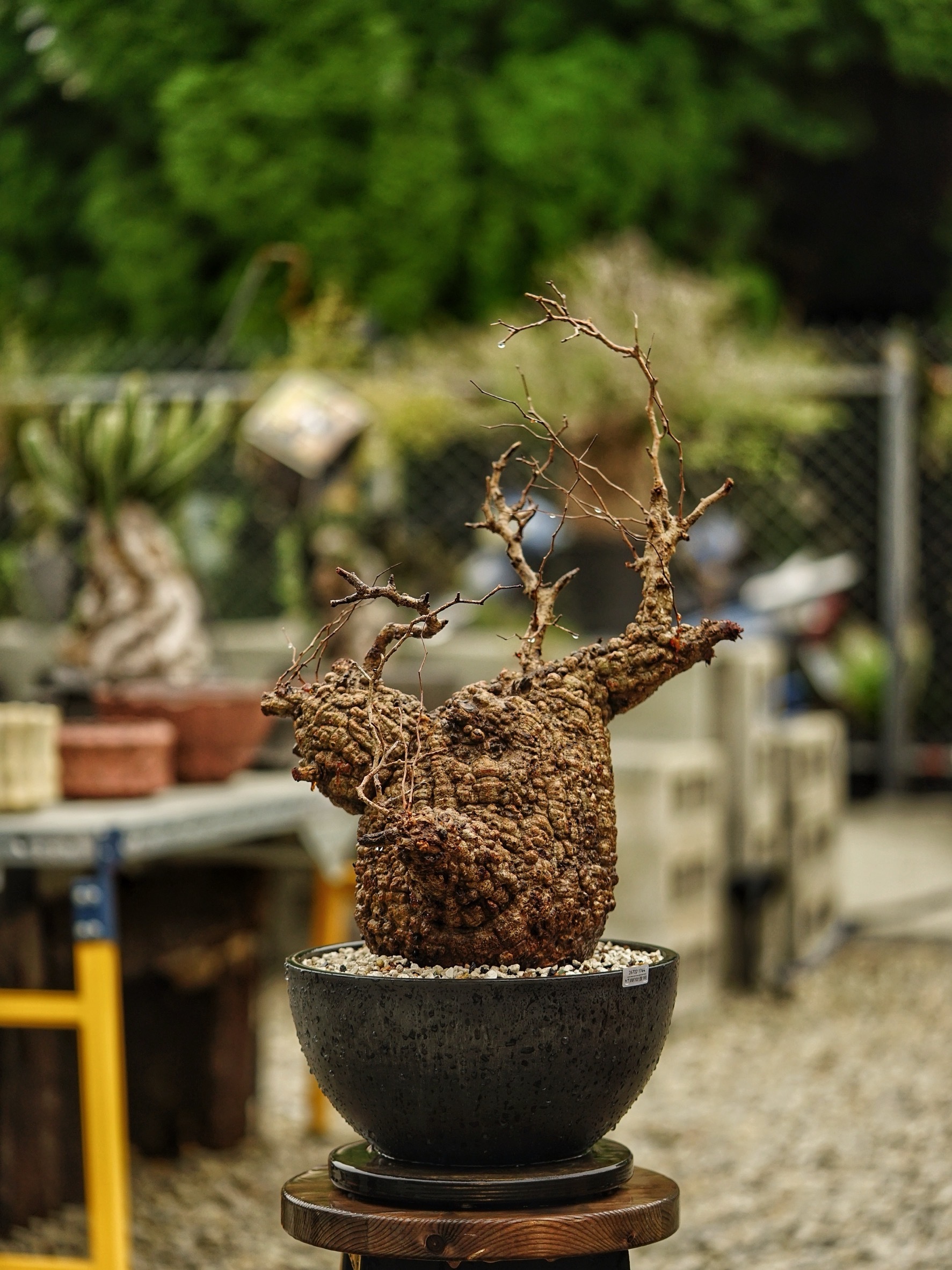 image_579984B1-E7A3-476E-A713-C89393EB93F9_1785488408
