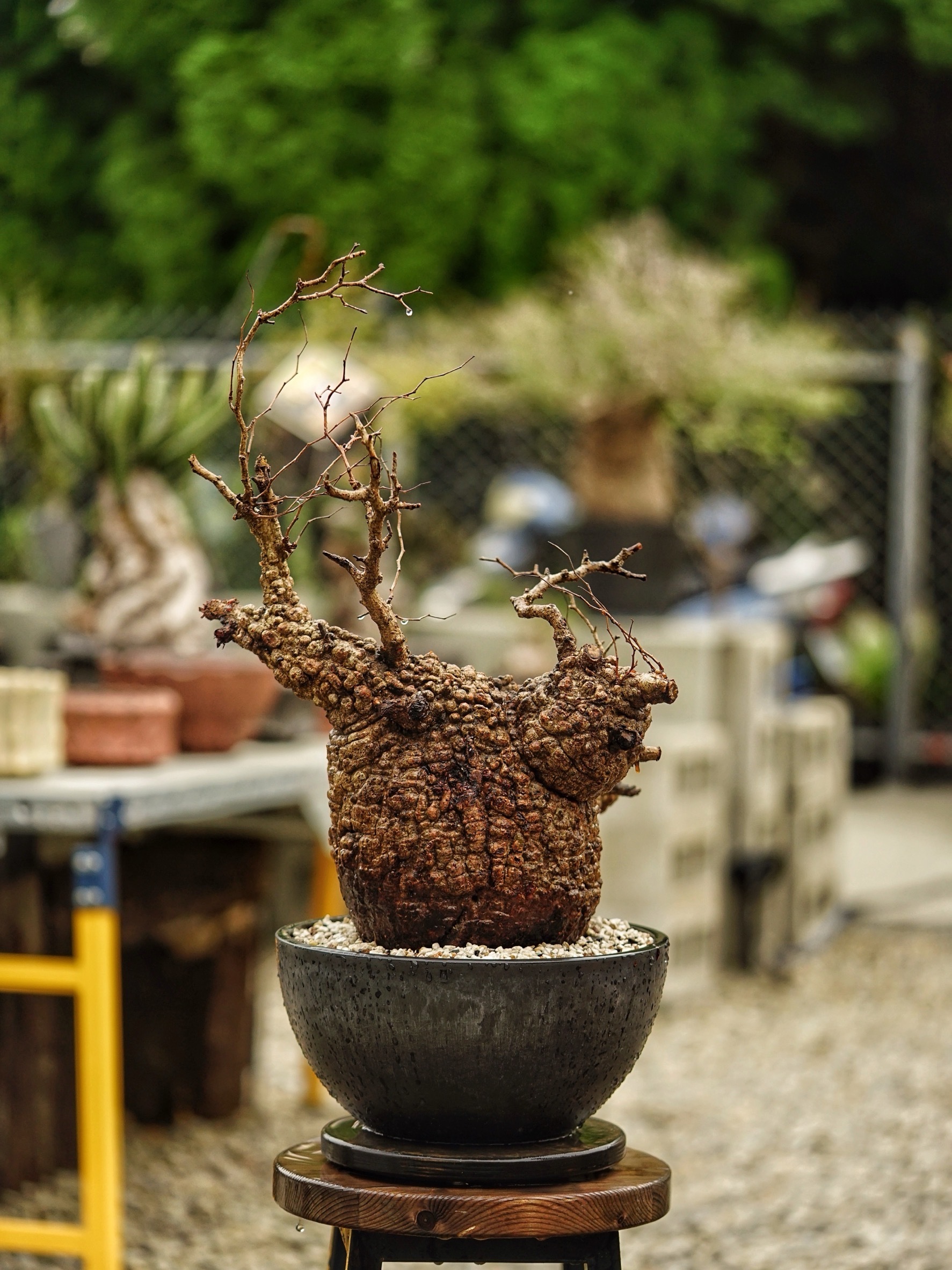 image_8358F09A-AEF4-4092-B10B-99BD2D486835_1785488408