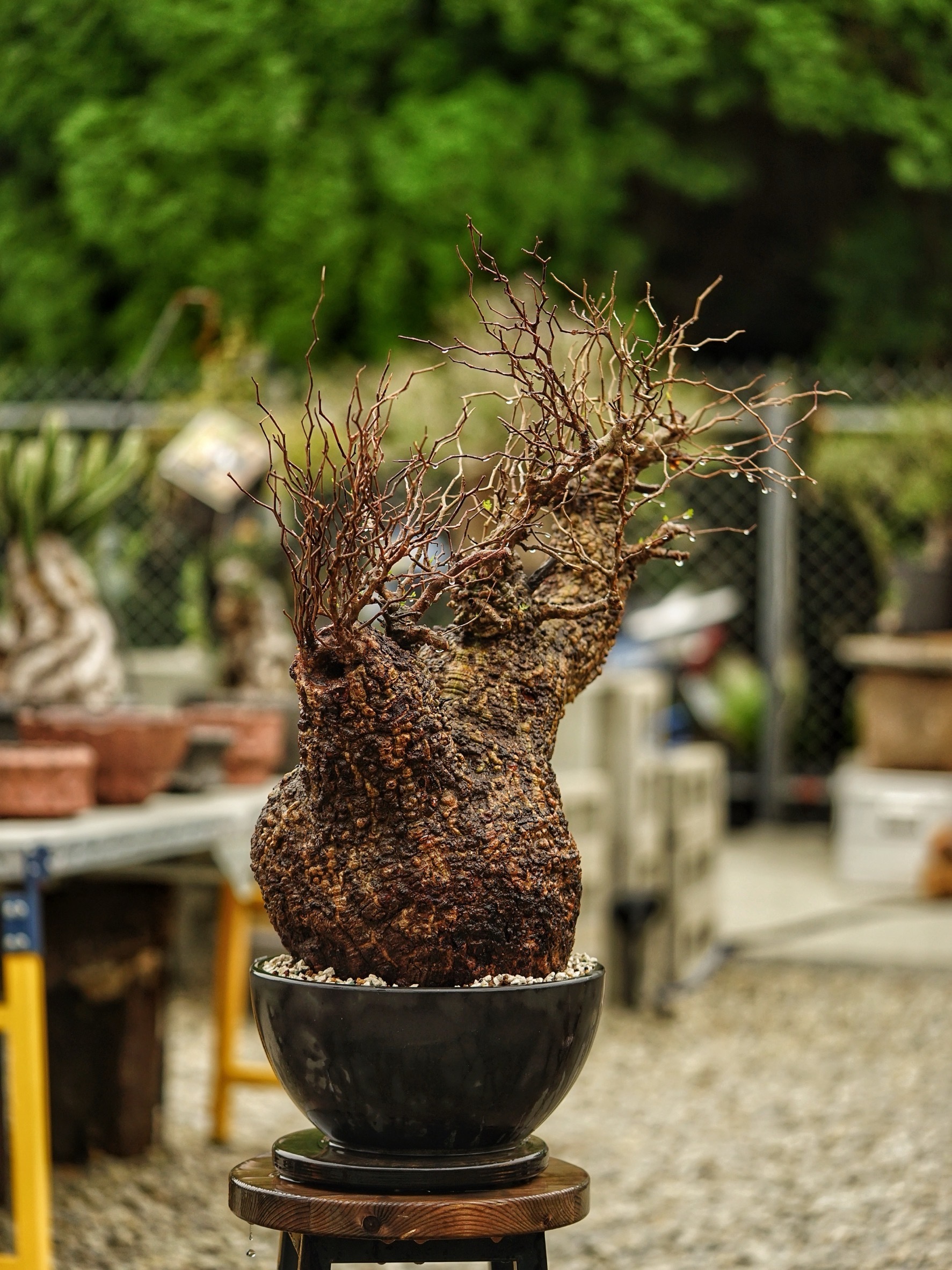 image_58BA1AD1-58EE-4768-BE36-7B3549D317E0_1785488563
