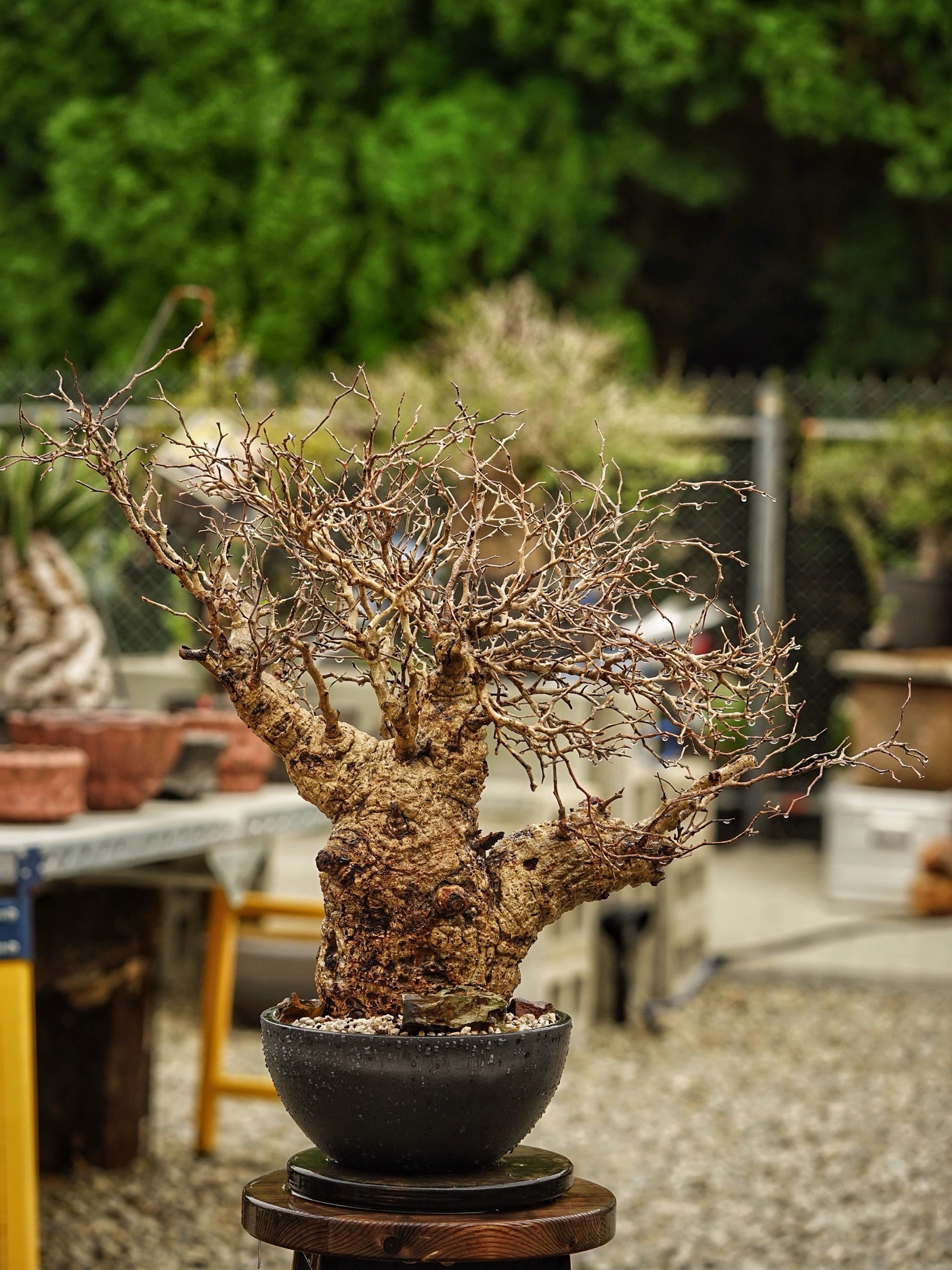 image_7BC920FE-506F-43E0-92A2-06480598E1A0_1785488846