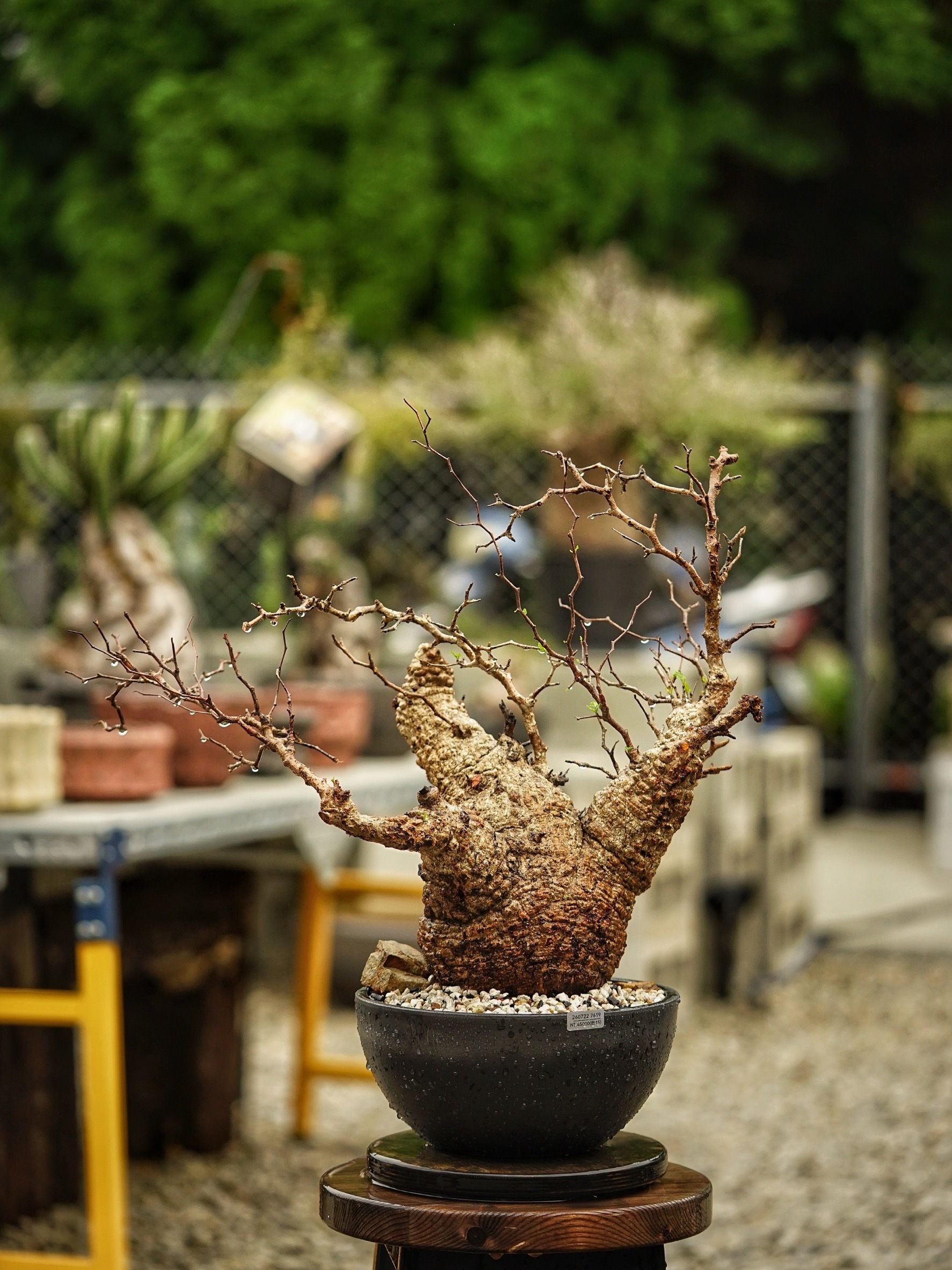 image_6BF098AA-CF41-4550-ACC7-ED4BCB2E26A2_1785489058
