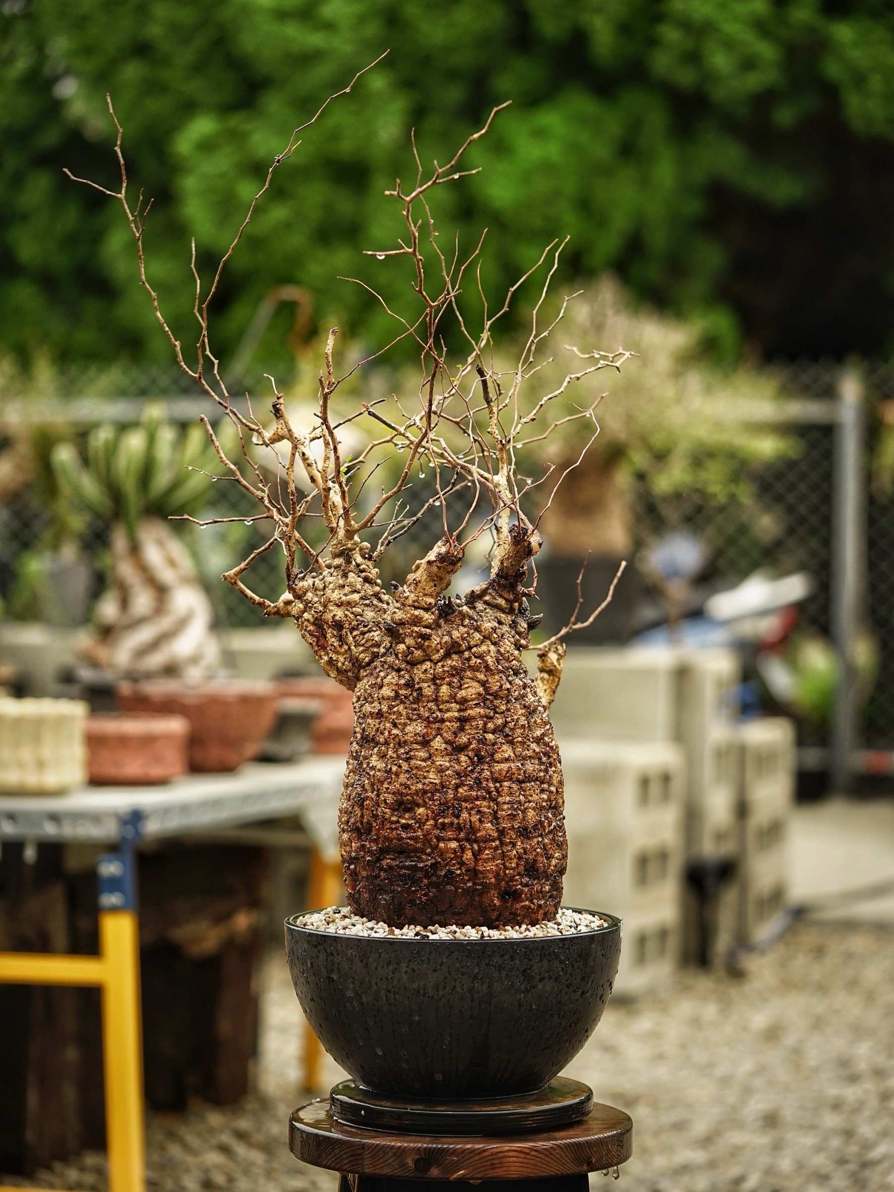 image_521949C5-BB9D-4D1B-9834-6CE42C07D9F6_1785489571