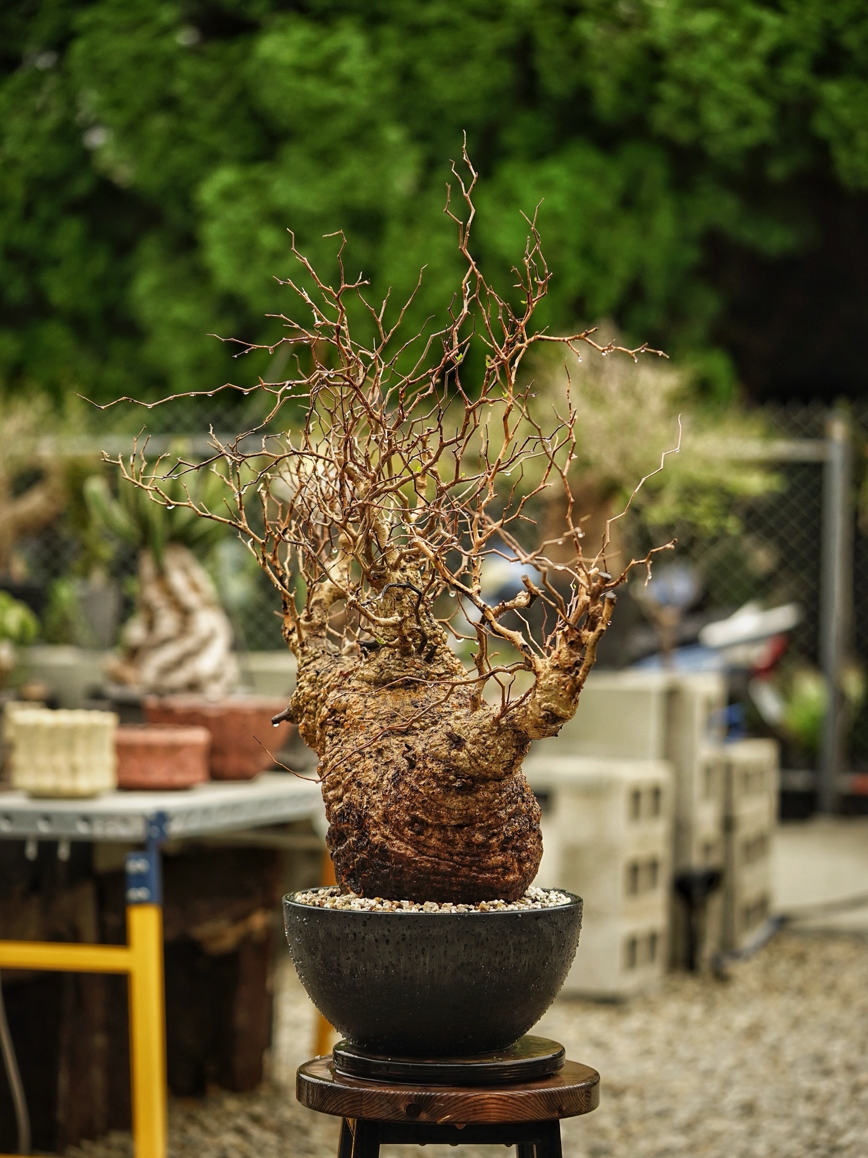 image_0581501C-D499-4DA8-A191-865F1BA9BBF8_1785489700