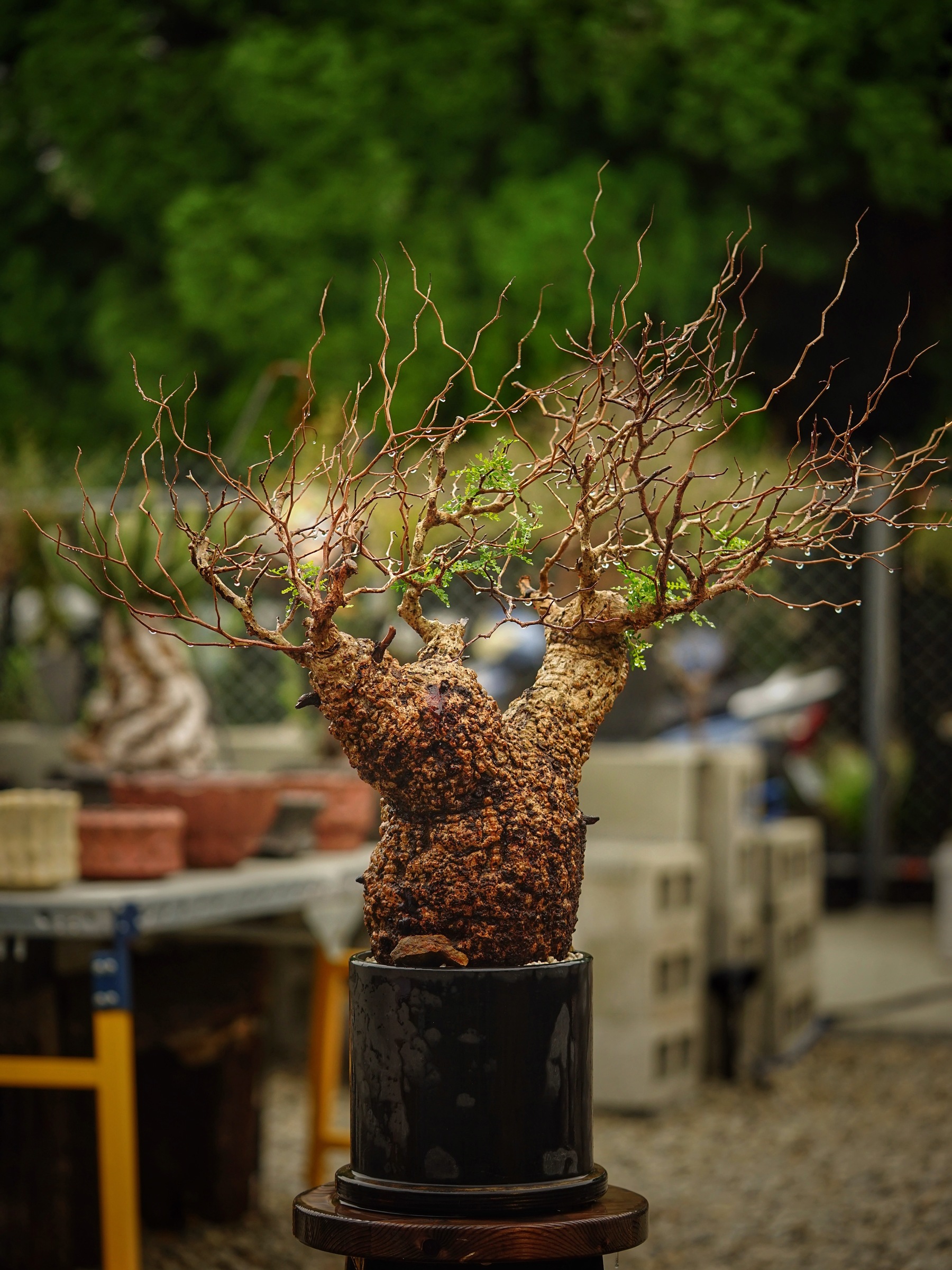 image_C89ADAB2-6508-4EC1-AC9B-37AE90AD5F75_1785500589