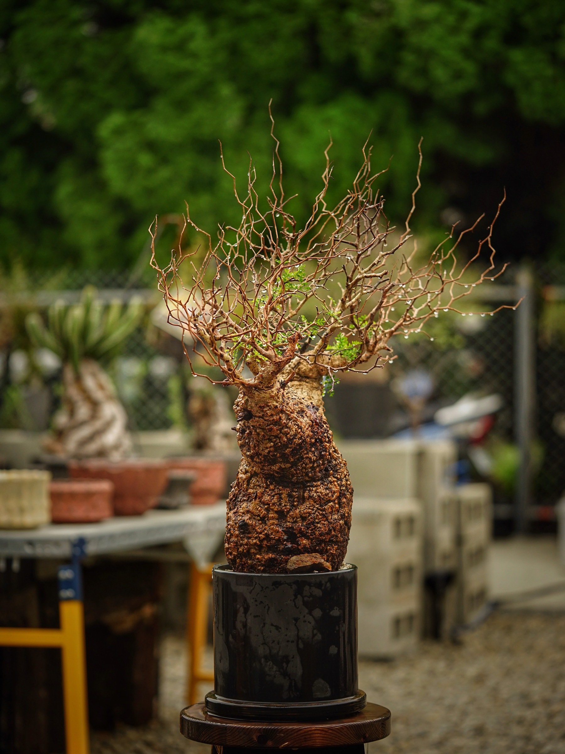 image_648F620C-E69D-4FB6-8AD7-6CF56B9676A5_1785500589