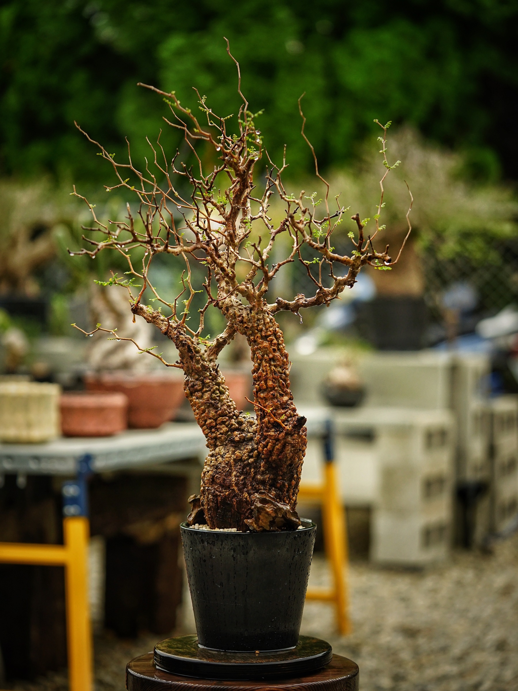 image_3B6F2F59-BB86-4CF8-B08C-905C3048F8F2_1785500696