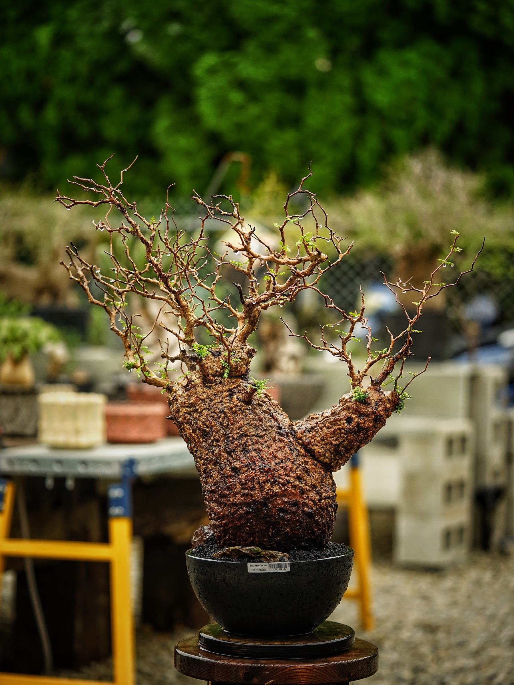 image_F212AAE5-785D-4015-9FEB-1F6891035F6E_1785500787