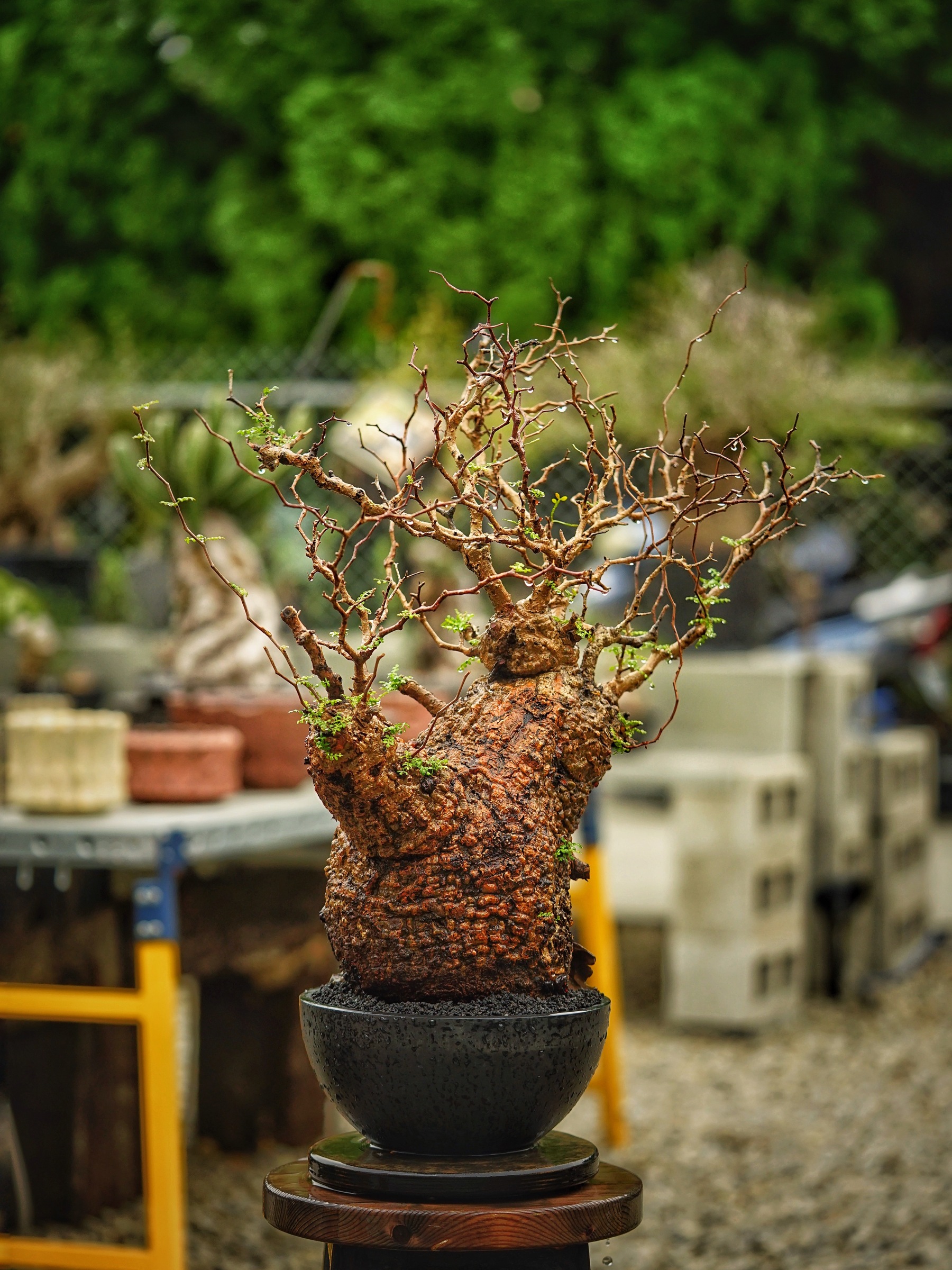image_7481DD5B-0120-46E9-84A3-449075C05AD6_1785500787