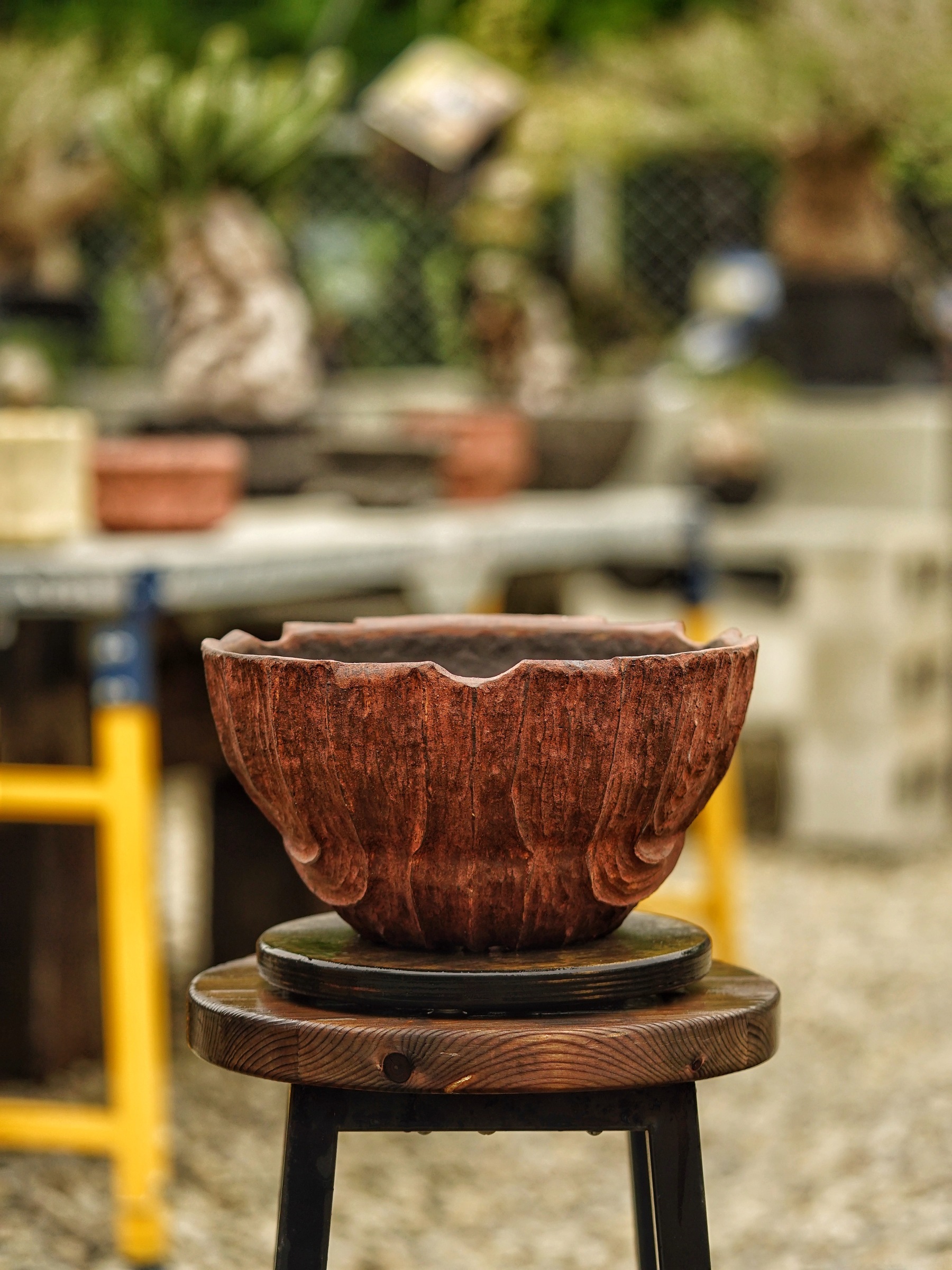image_9109615F-EEDD-4482-9F31-90E984DDB196_1785518029