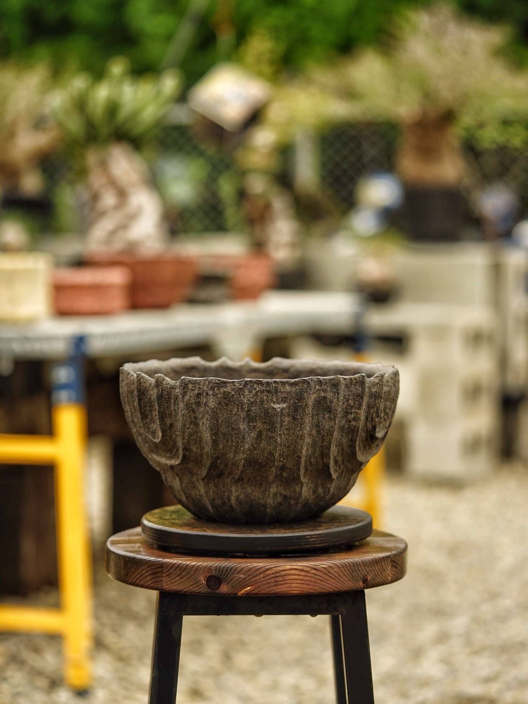 image_BAE4D5C3-91F7-496B-B9E6-6283D7F853EF_1785518086