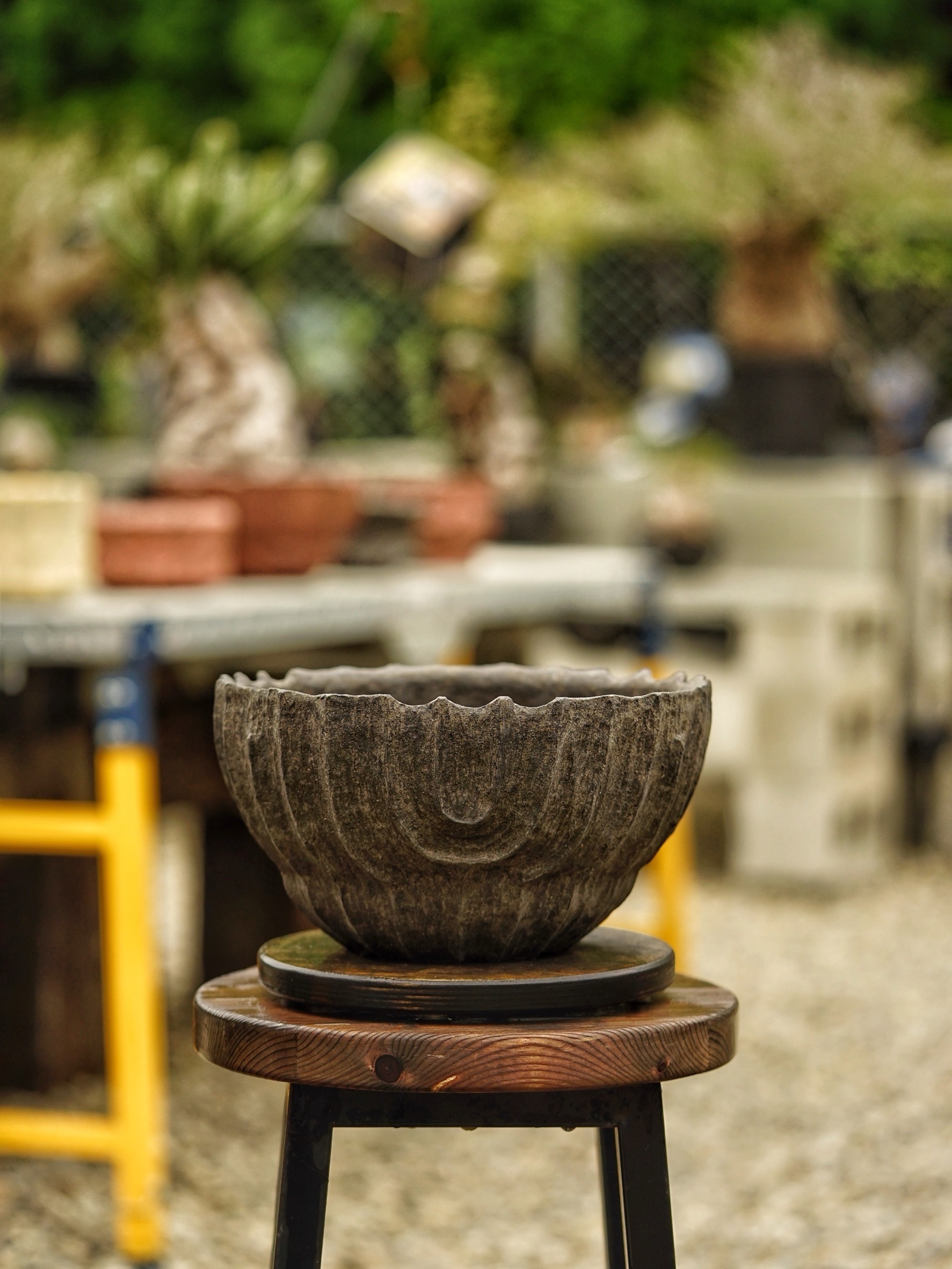 image_8BAA76EA-25B5-4BD1-9625-B72D25526147_1785518086