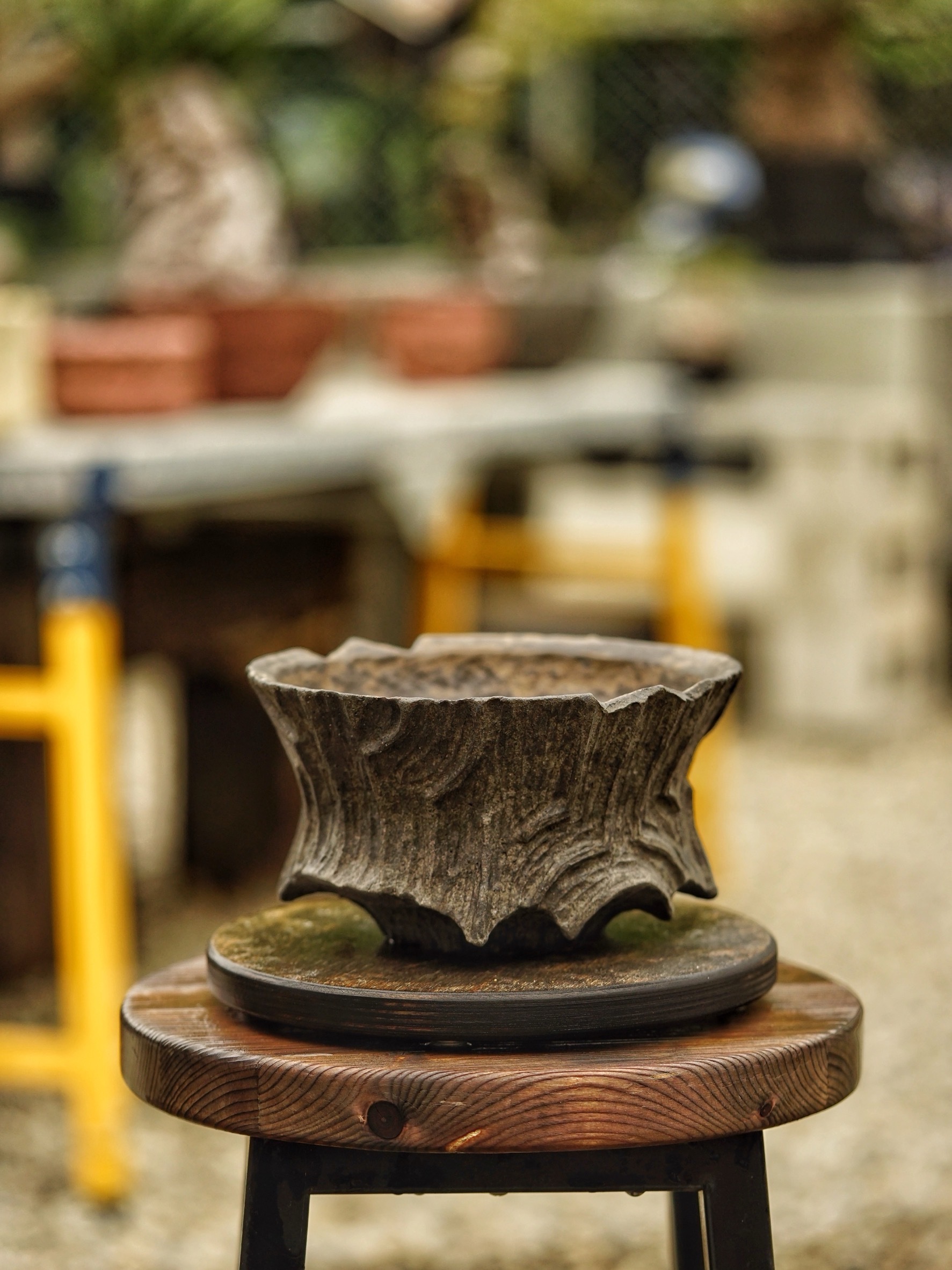 image_9359F211-AF41-4048-8D2E-6D77547BD589_1785518114