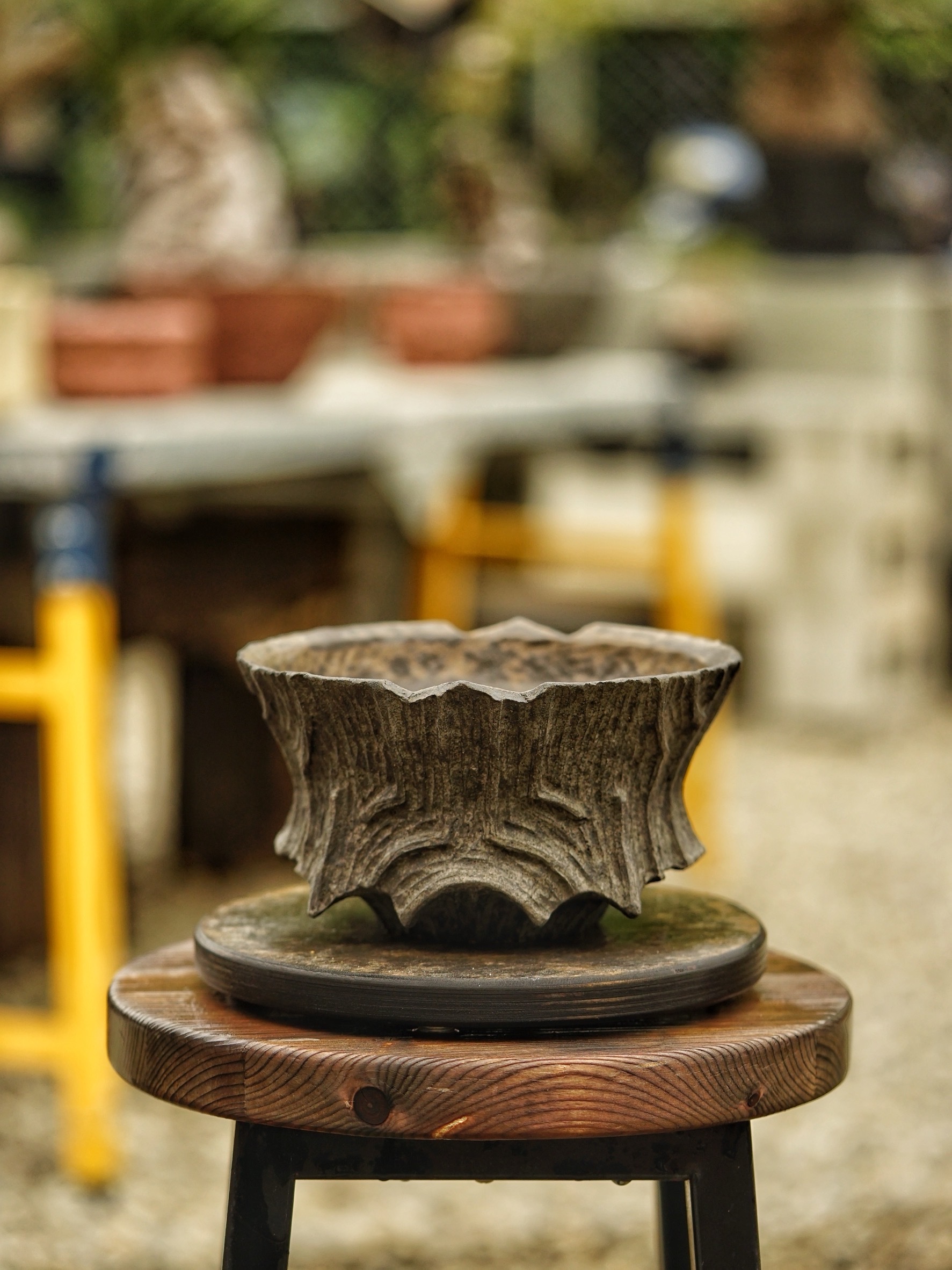 image_7DD62106-3D71-4A26-B347-DAC58866D278_1785518114