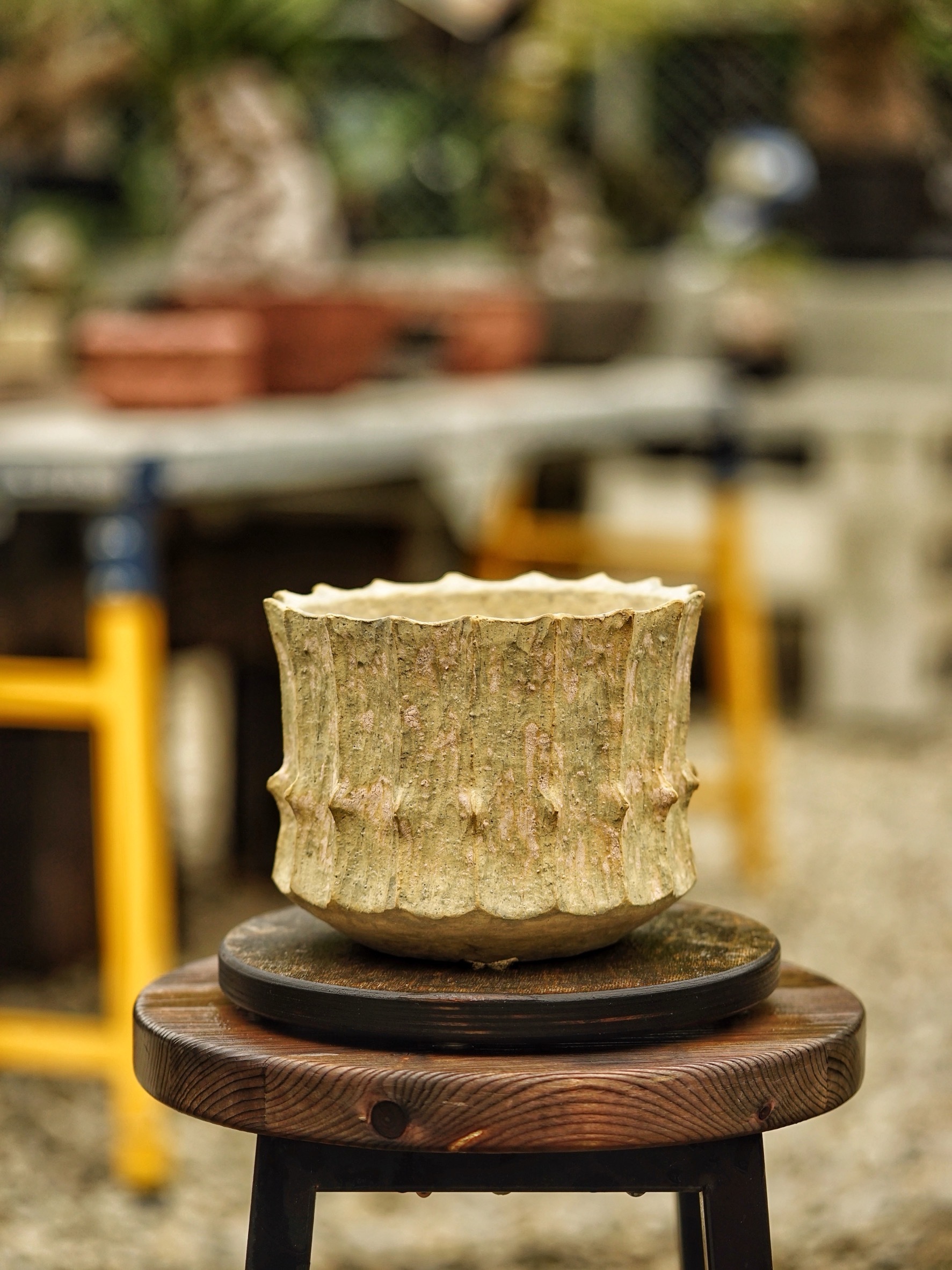 image_B858B077-FD3D-4382-9181-29CEA7151DE3_1785518200