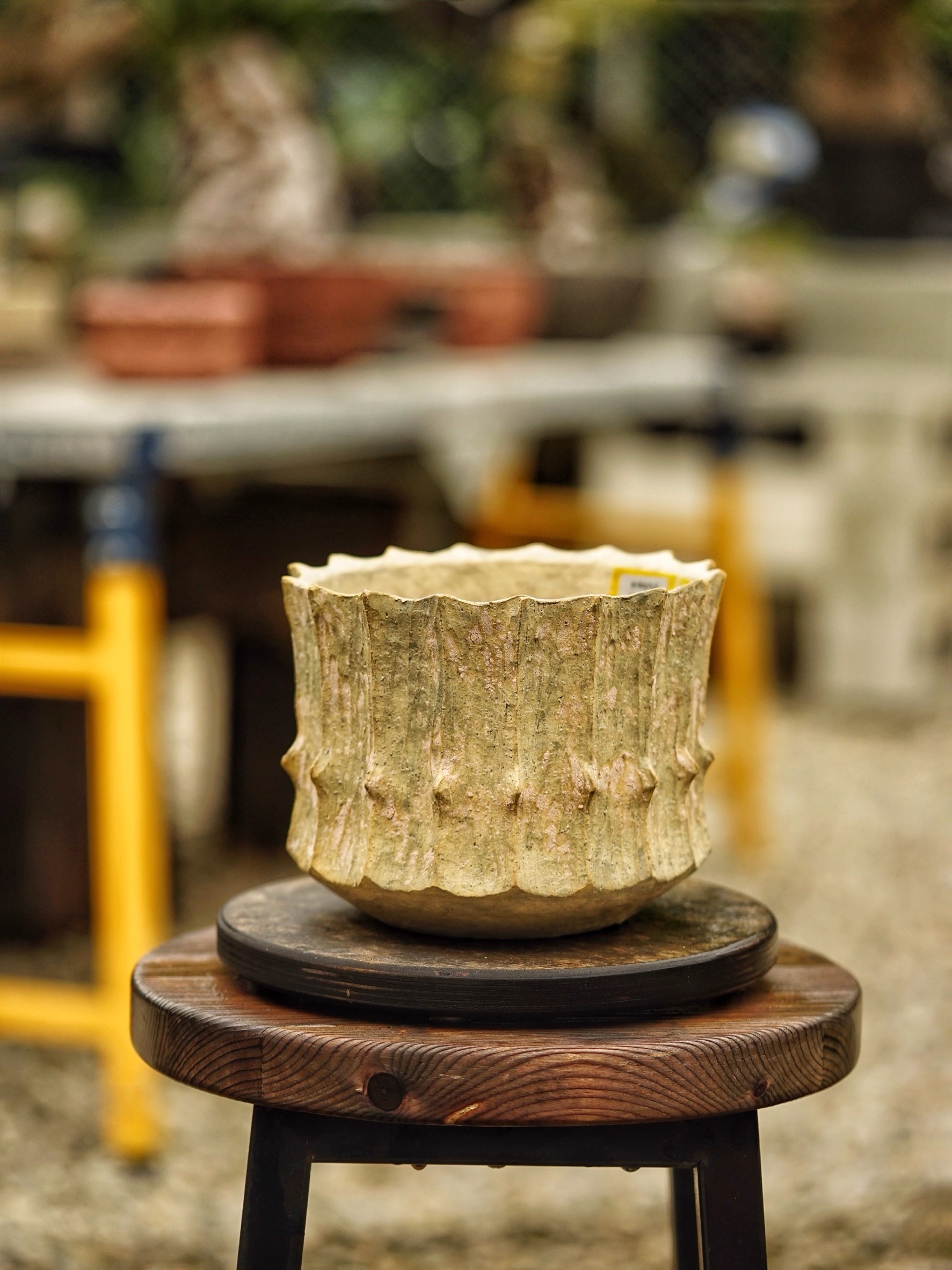 image_AFA1237A-5C93-45F7-9F72-FA5FFB04D705_1785518200