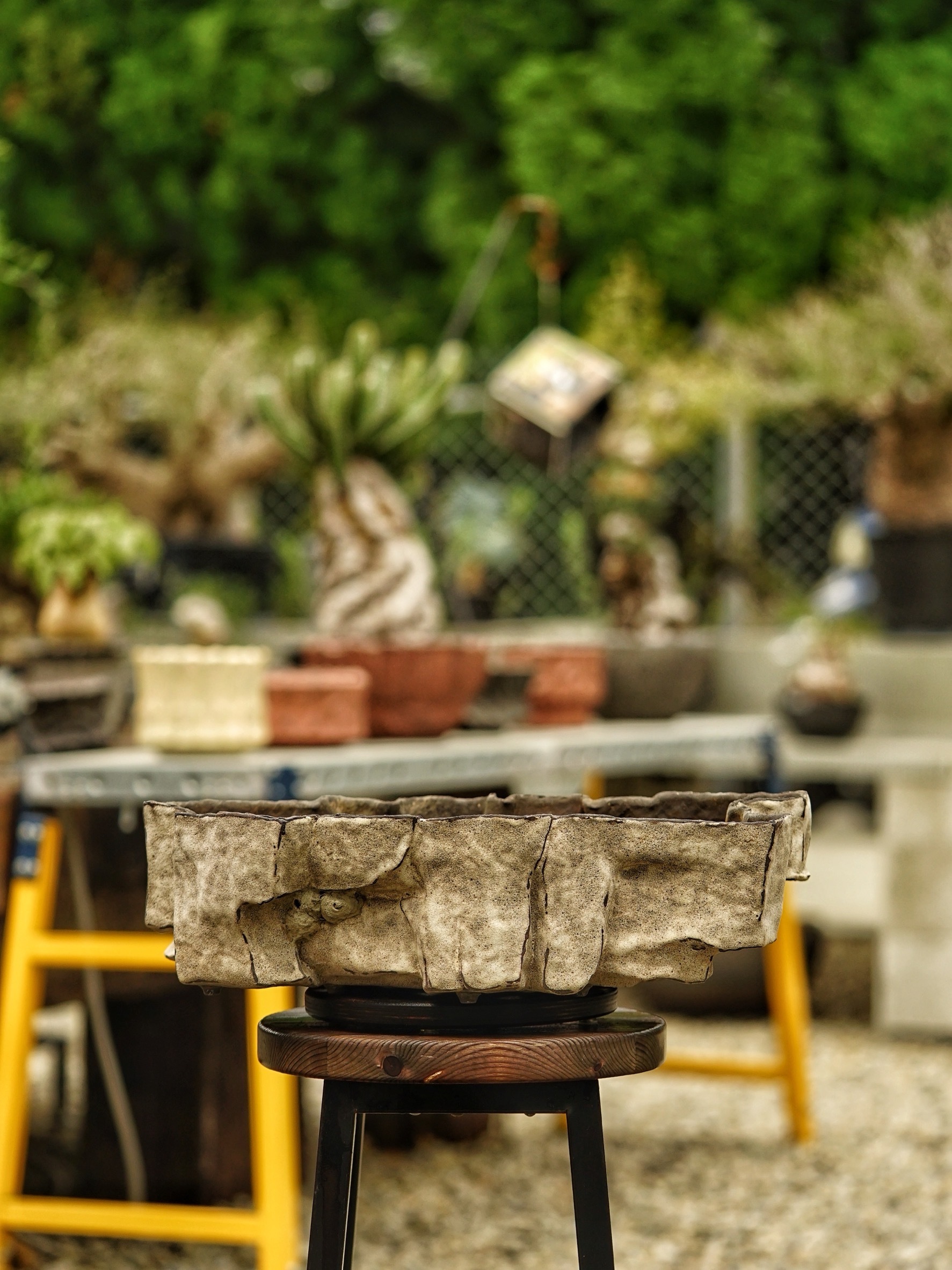 image_0DF0D2E0-460E-4458-8D5B-BD75FA0FDB99_1785518245