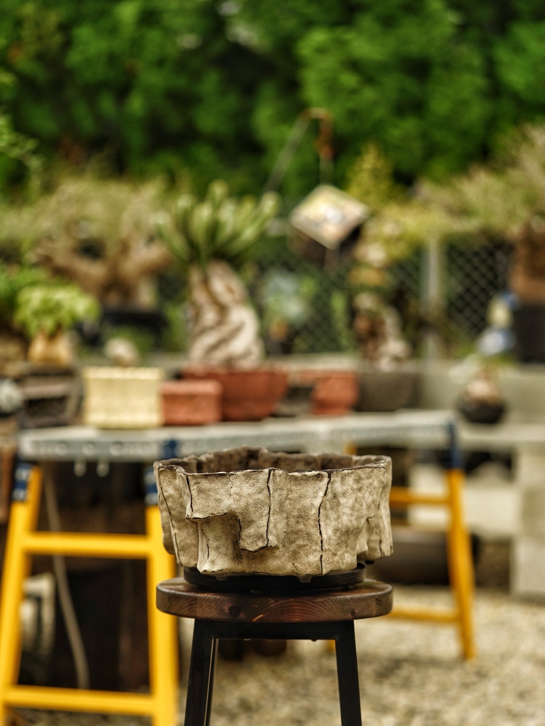 image_71ADB1E9-F60A-47FB-BBFE-AE781C14C382_1785518245