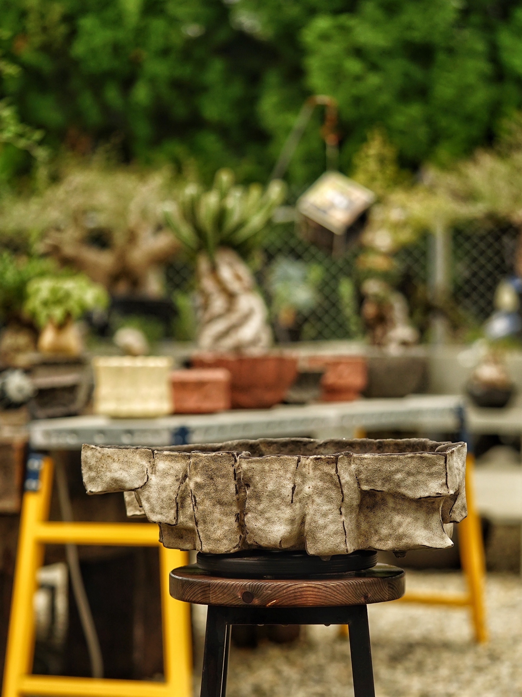 image_34C43CED-C997-4012-A5D3-706B15EB3466_1785518245