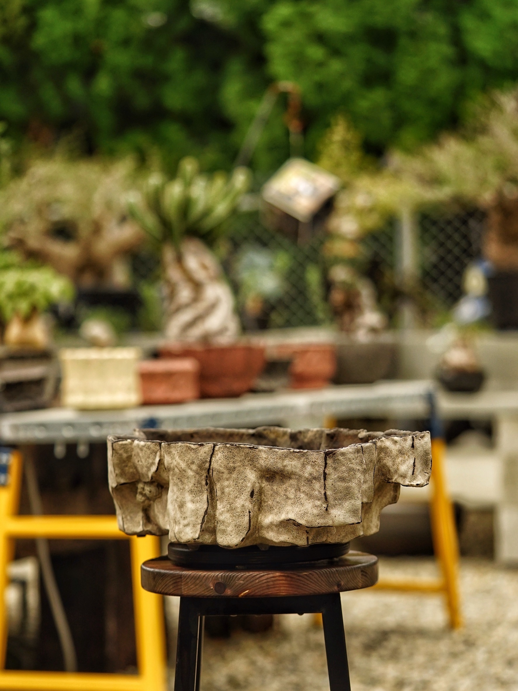 image_DC43574B-D9E7-4B35-87CA-D97CF128A825_1785518246