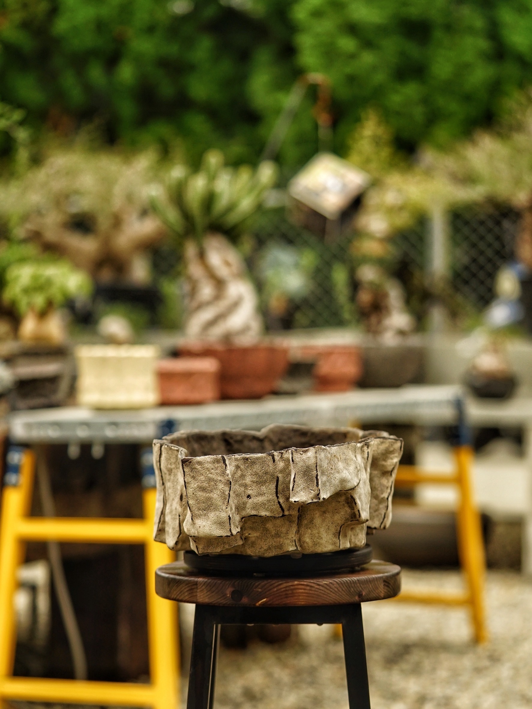 image_B768D878-9BD8-4F11-AA6C-7422DB12B0B9_1785518246