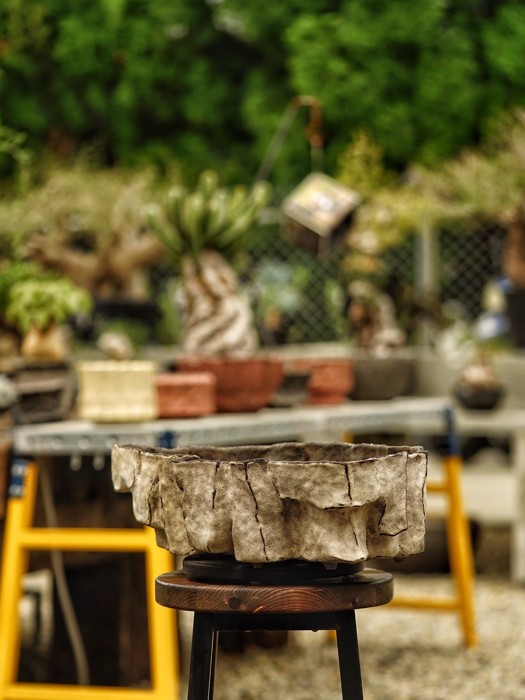 image_6DD59C3E-CE48-4E1E-82E1-A00EA333F104_1785518246
