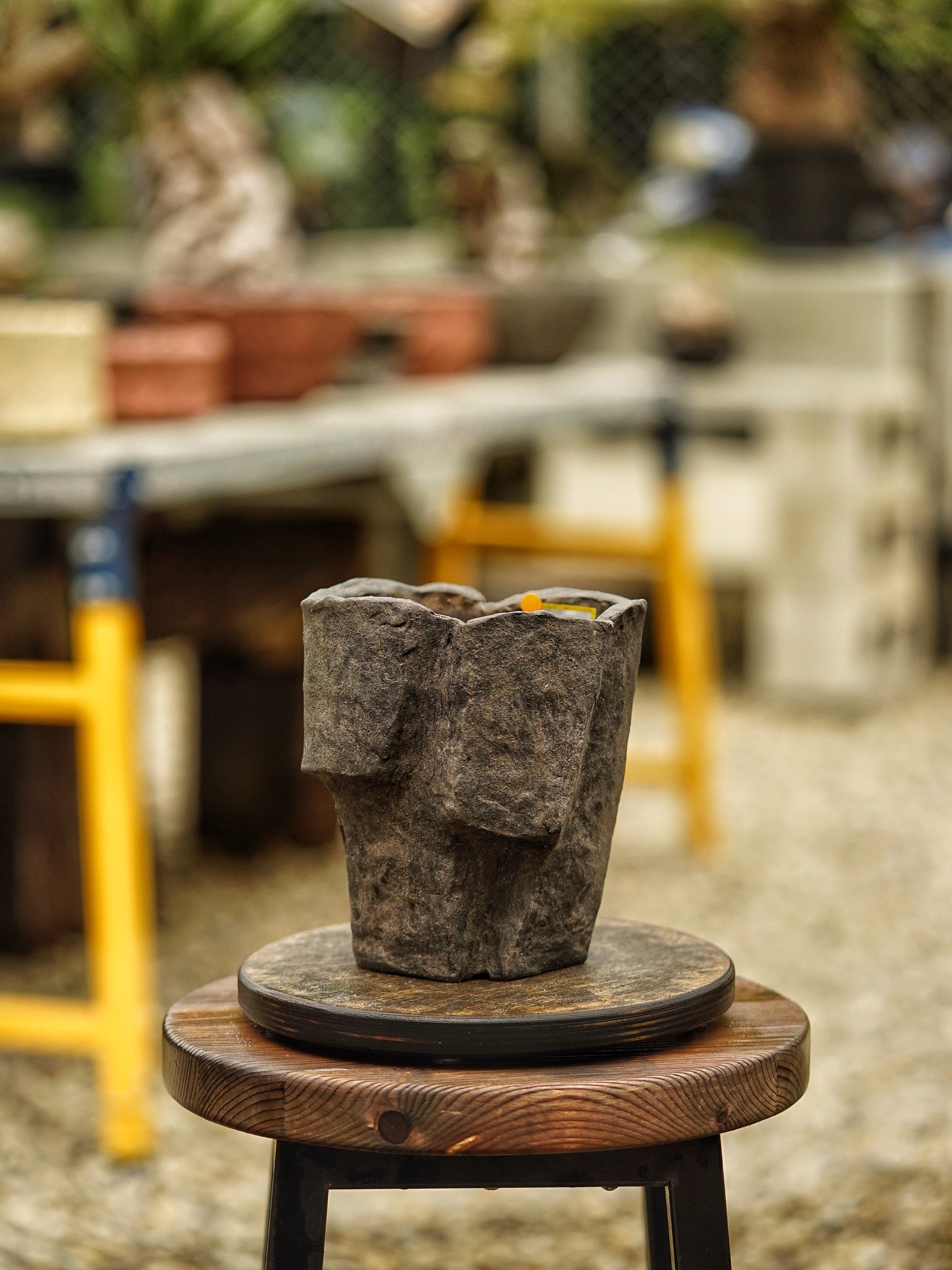 image_ED9453E3-C7C4-44BE-80D0-72638A9B88CD_1785518272