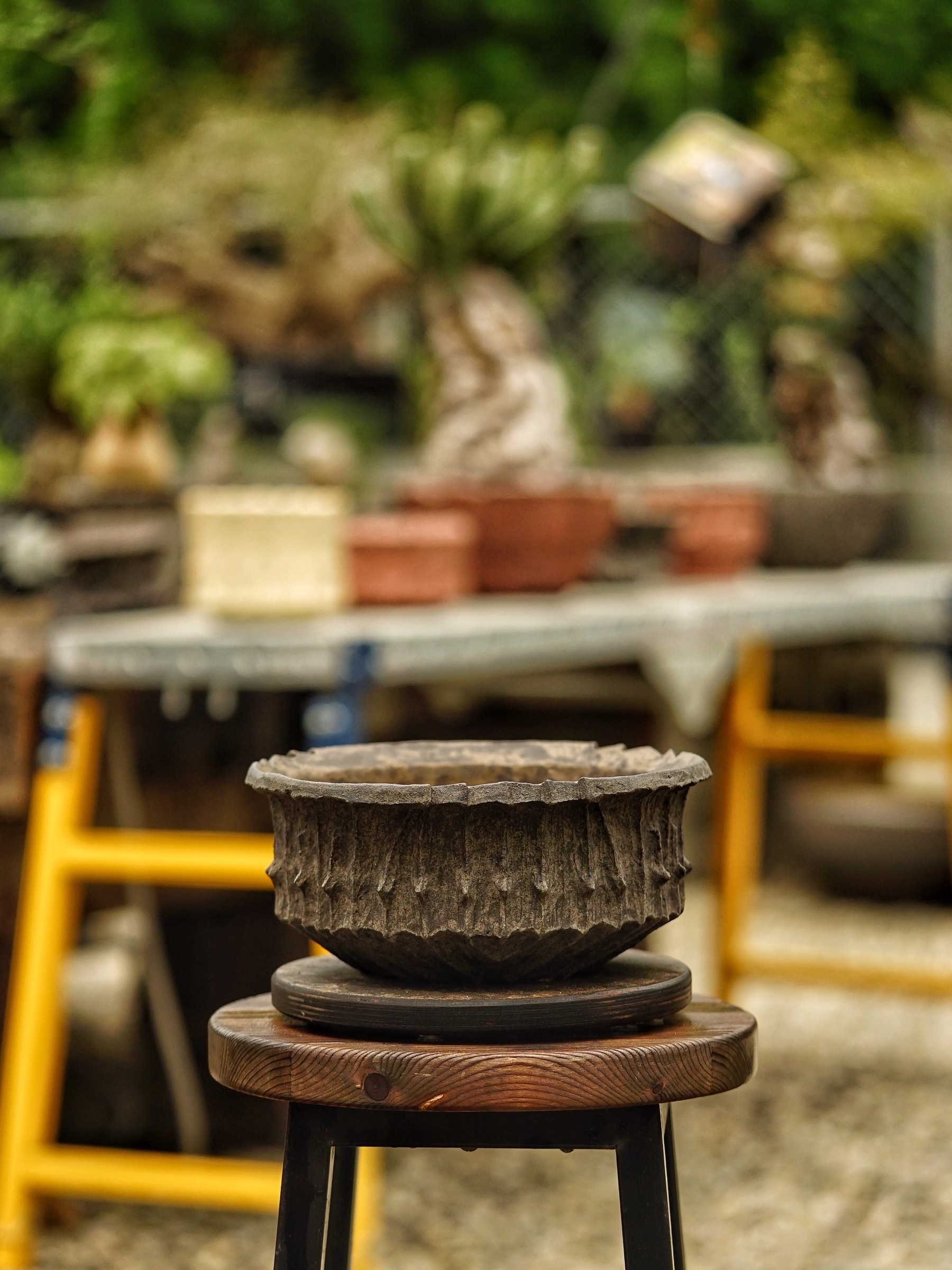 image_E8649EF8-8BA2-4273-A063-29F1235B50CE_1785518333