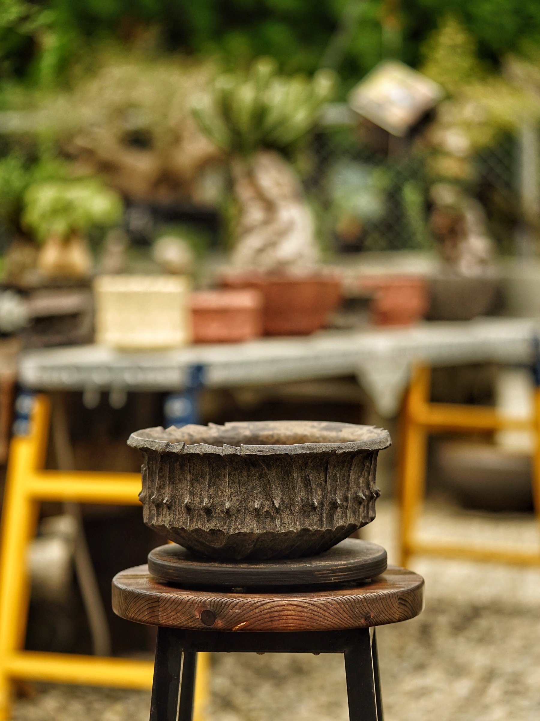 image_DEC301BD-A985-4A68-90C1-39CDE96A697D_1785518333