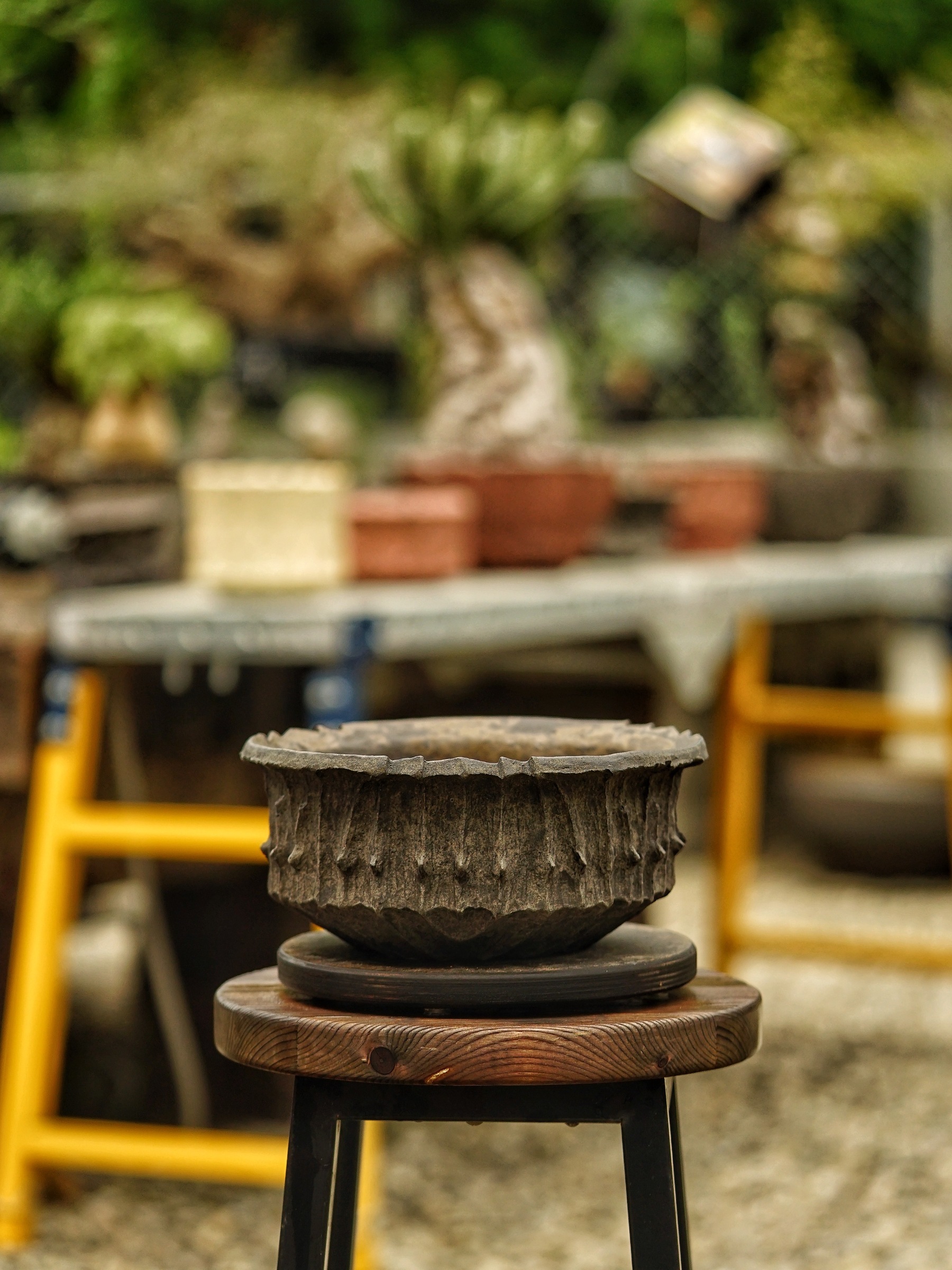 image_BB9F4378-4539-462F-A324-7D3586CC6123_1785518333