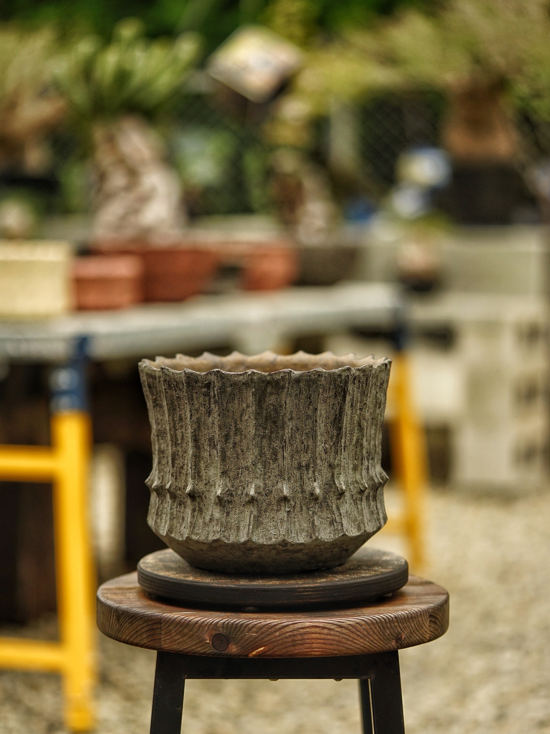 image_FF9025AA-55B2-4EEA-A4AC-5474EE3D245B_1785518426