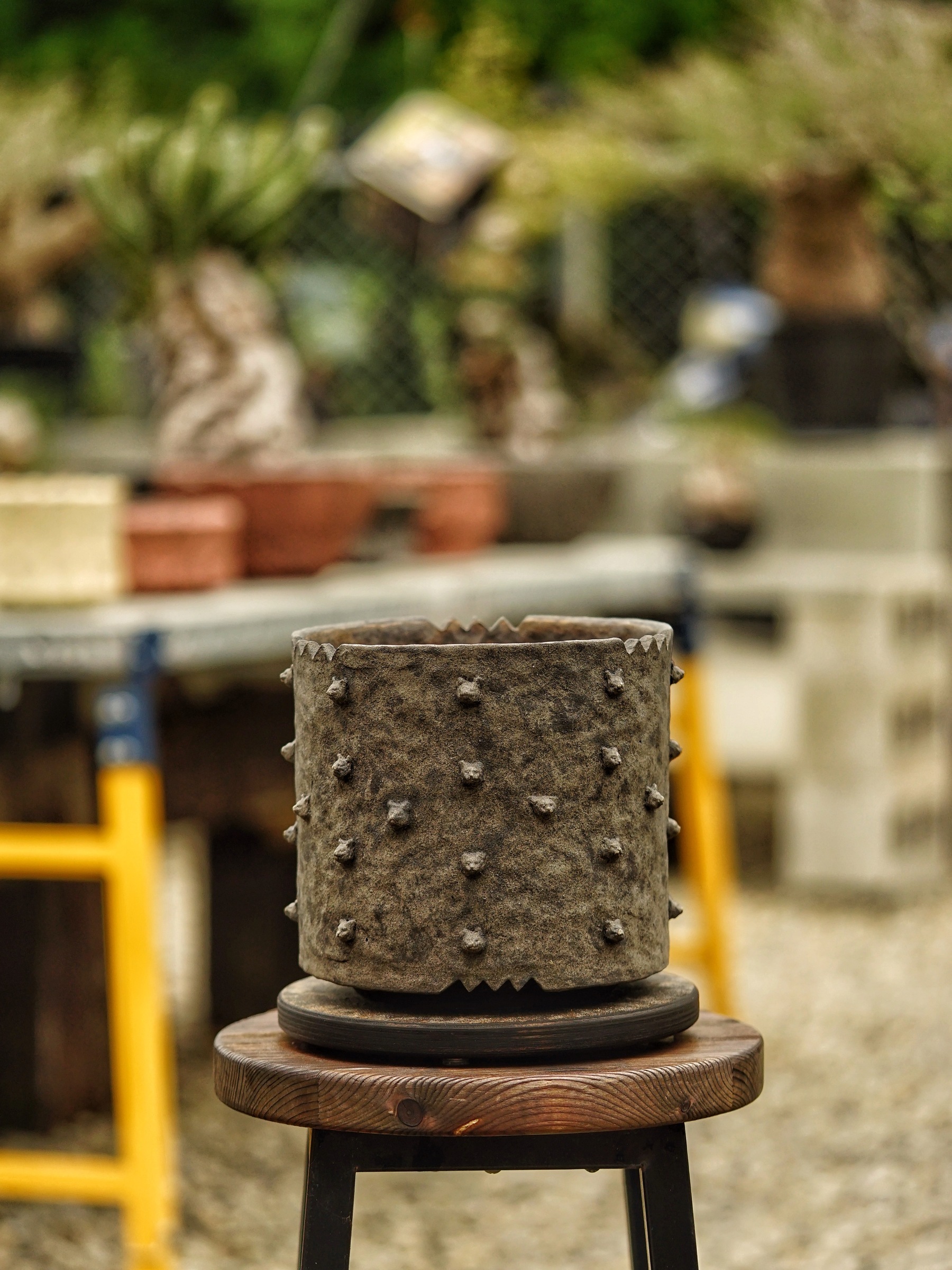 image_23FA73E5-6706-4226-AD09-CFECBC859E0F_1785518454