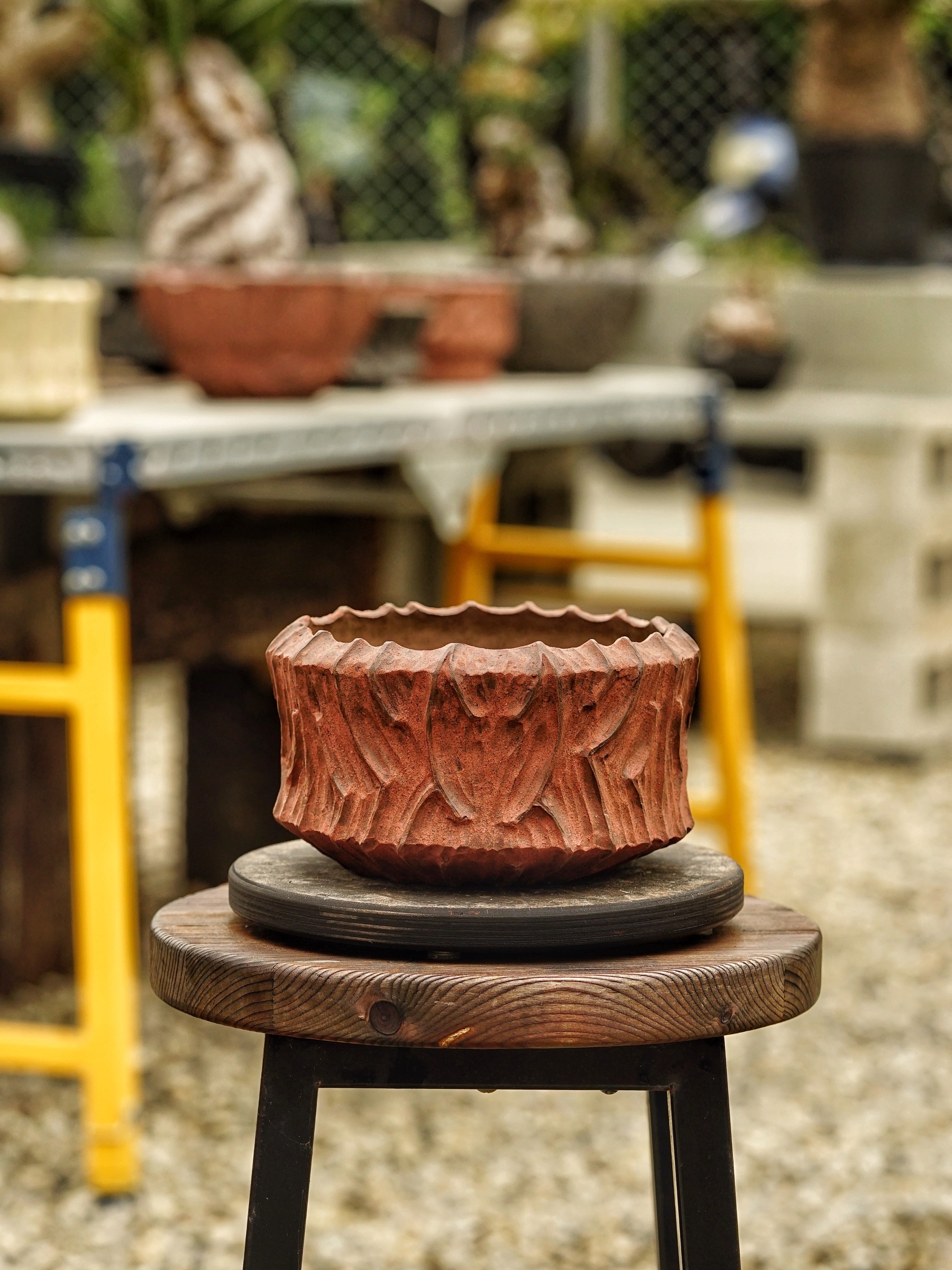 image_4001286B-B5A7-4B47-81E6-44626EF814A9_1785518494