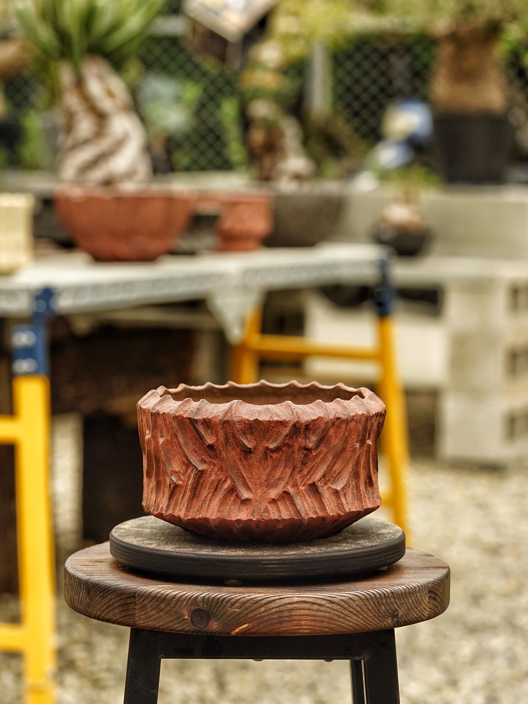image_23B684CB-95C7-4815-BEAA-3F89FEA4D502_1785518494
