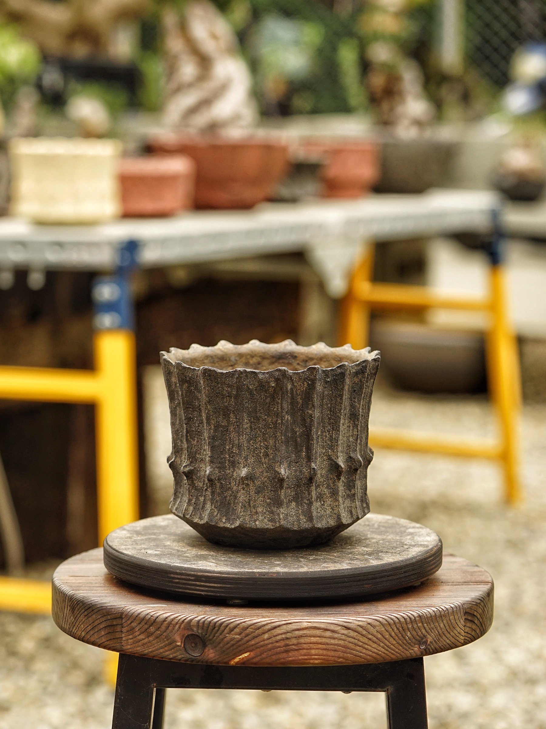 image_CC33B3DE-AF5E-4F19-A76A-D578B39D1B59_1785518607