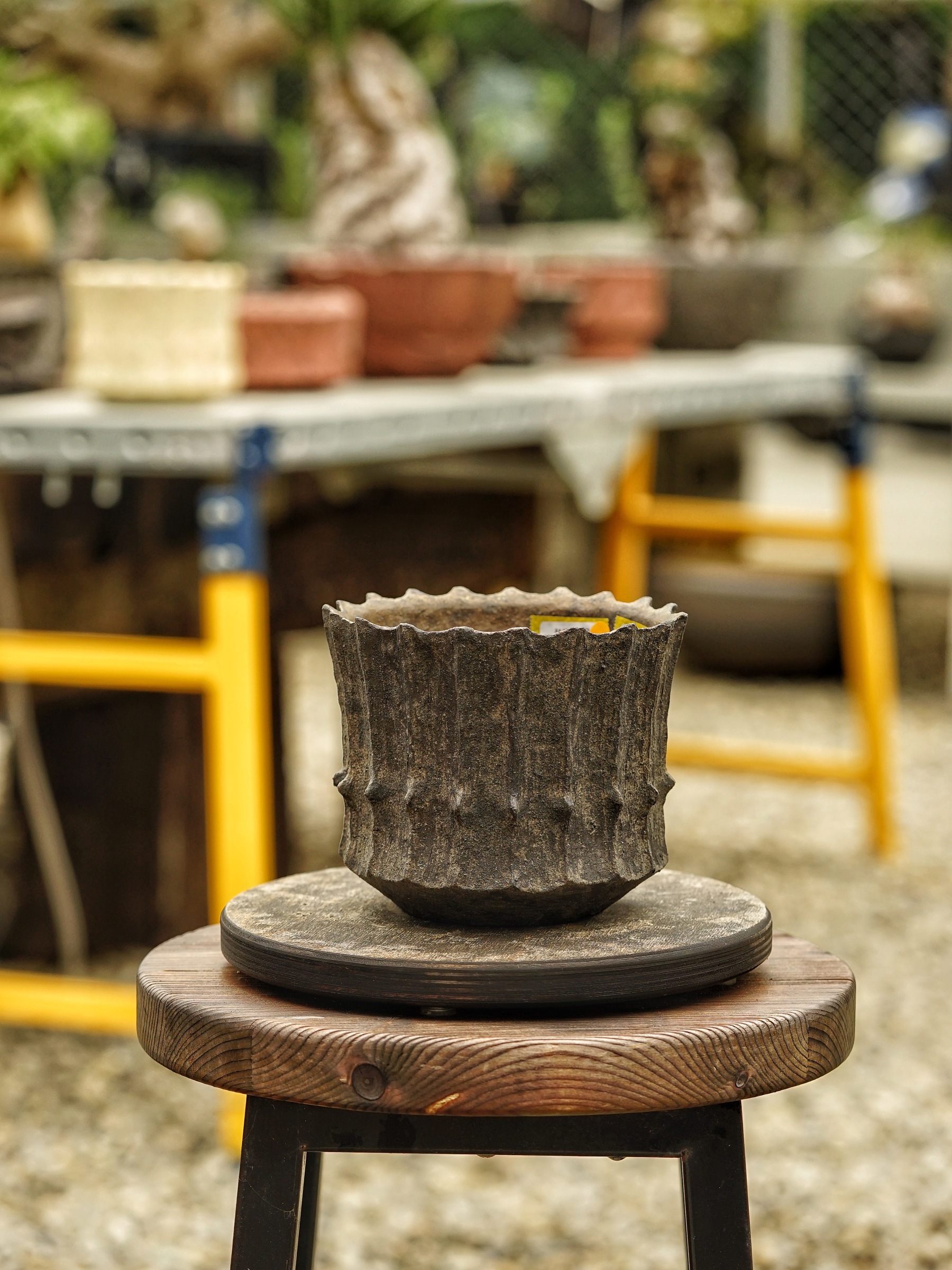 image_217844D8-9EA3-4C54-831B-3E500D9D7ADD_1785518607