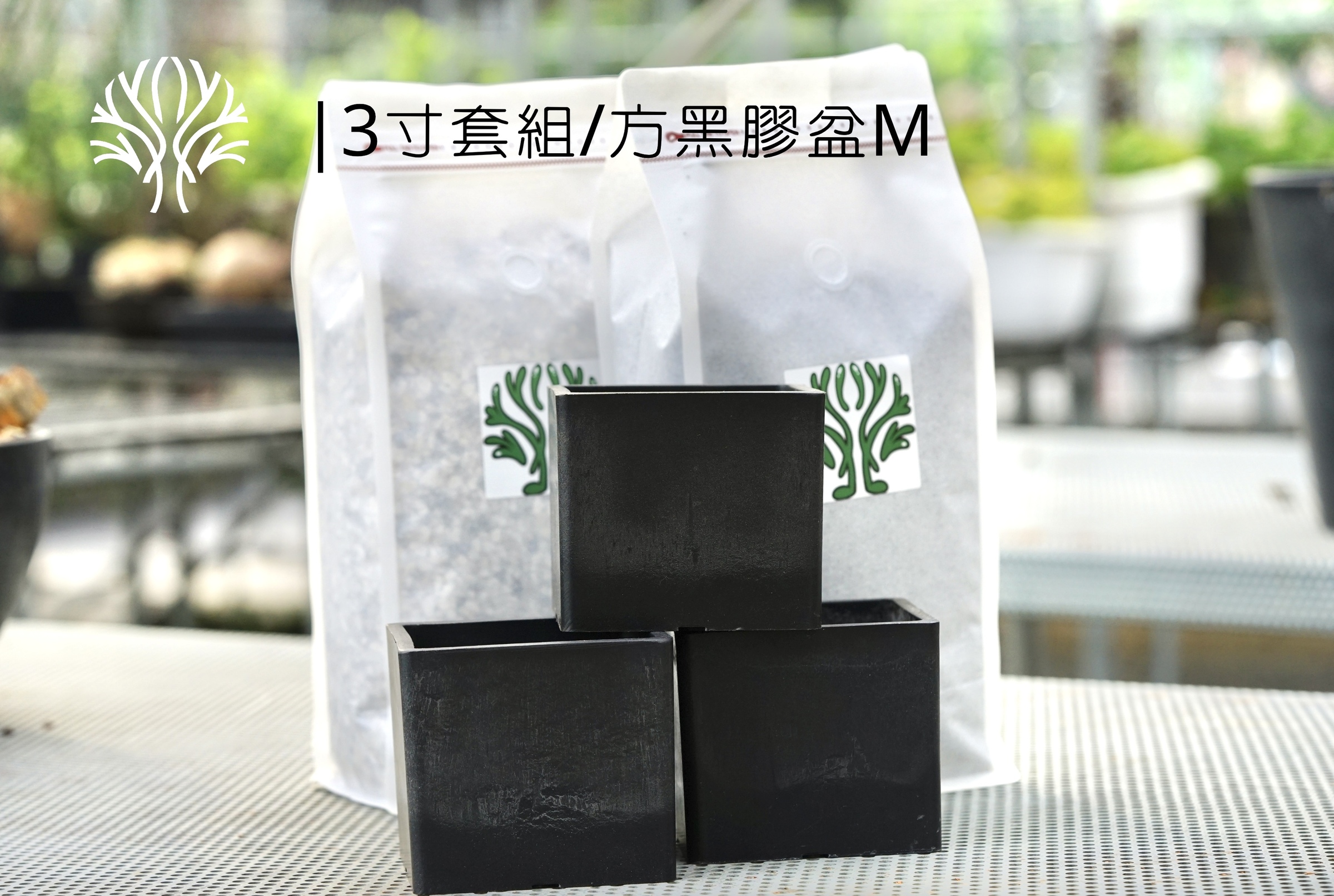 image_80C7EB69-EE76-4B6A-B9F5-06525EEA9799_1785752503