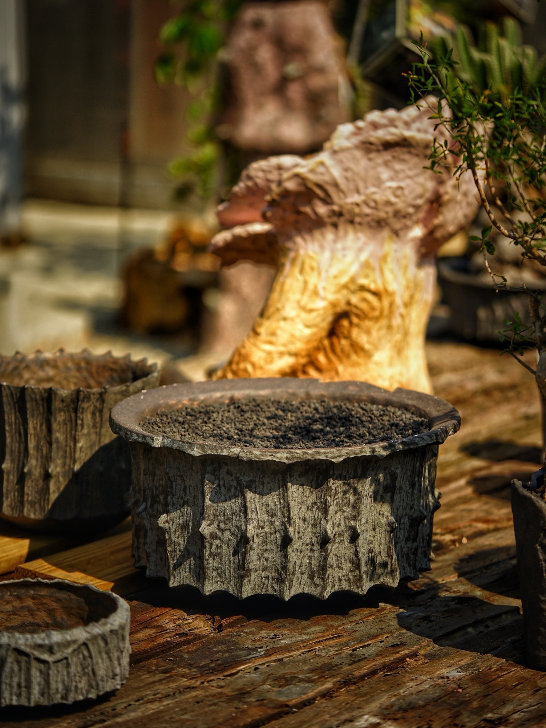 image_1E6D272D-0033-4D29-AEC8-956CE0E57DB0_1786078083