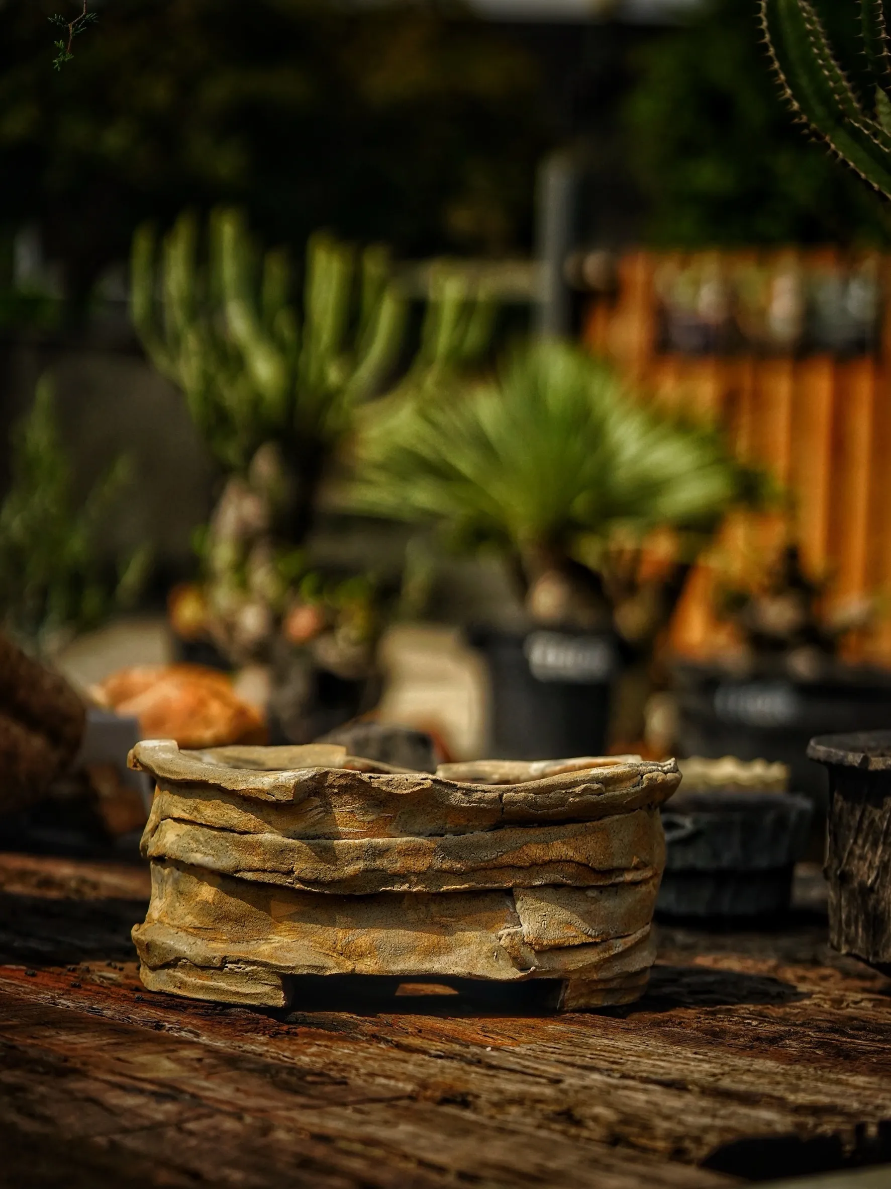 image_1B92140D-3C16-4FFF-AB0B-0C930A7996EA_1786078384