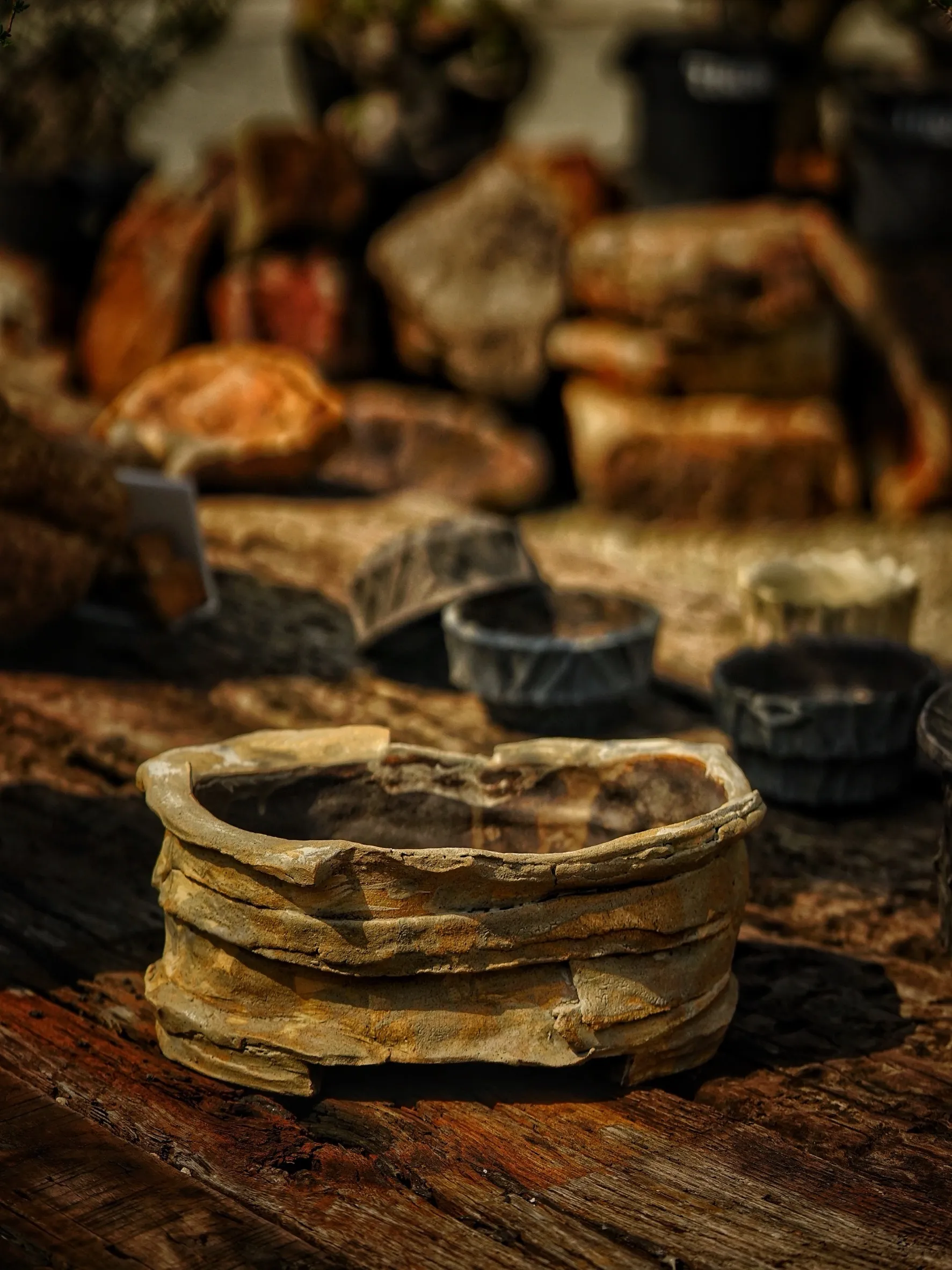 image_36F0DC65-FAAC-478C-BC9D-FFE13D4400A4_1786078384