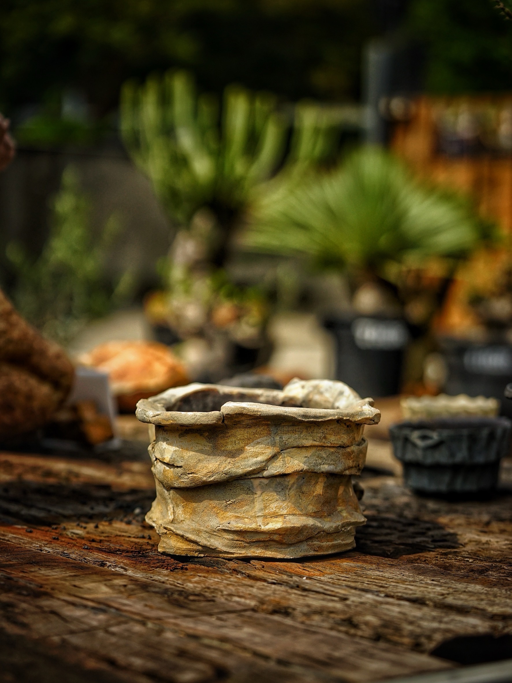 image_C6AF44A9-C372-4C22-BC9B-52CA90E25722_1786078384