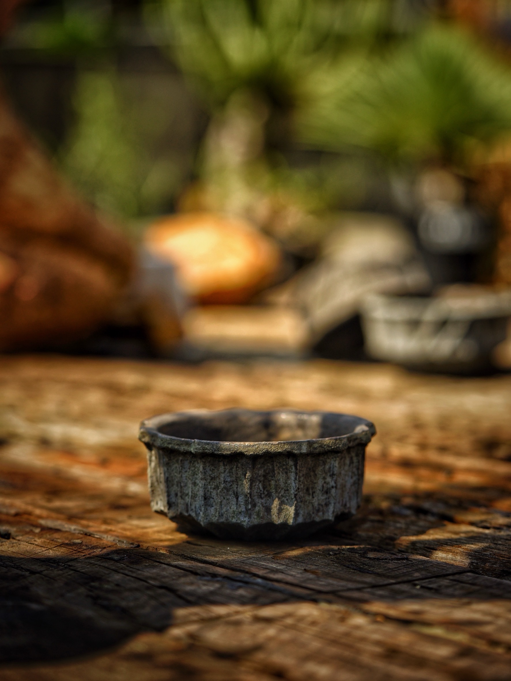image_04A057F8-9165-454E-8A46-4E3D22B34F78_1786081081