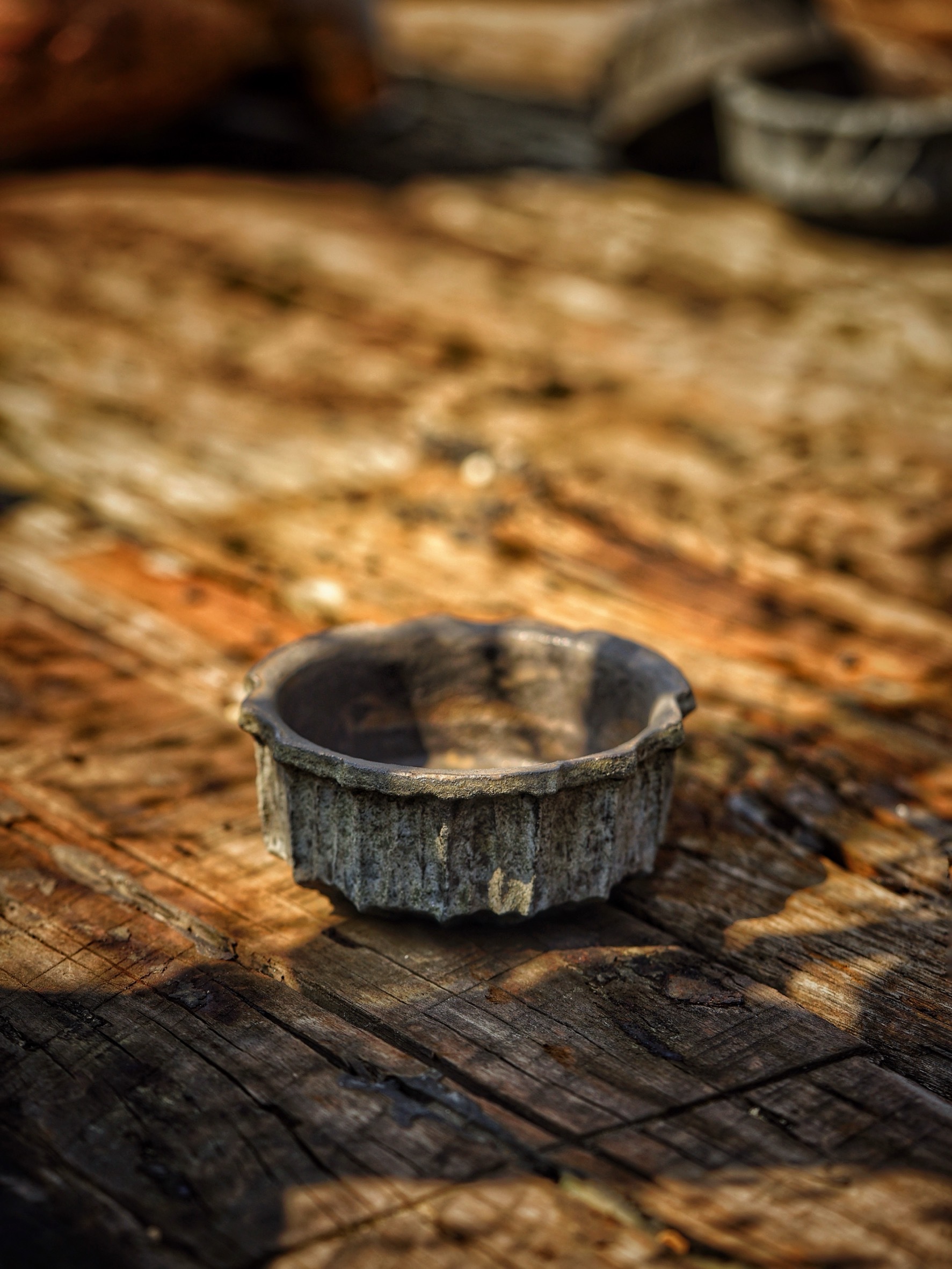 image_02A5C9BF-B142-44B2-AC3C-1FF13930767F_1786081081