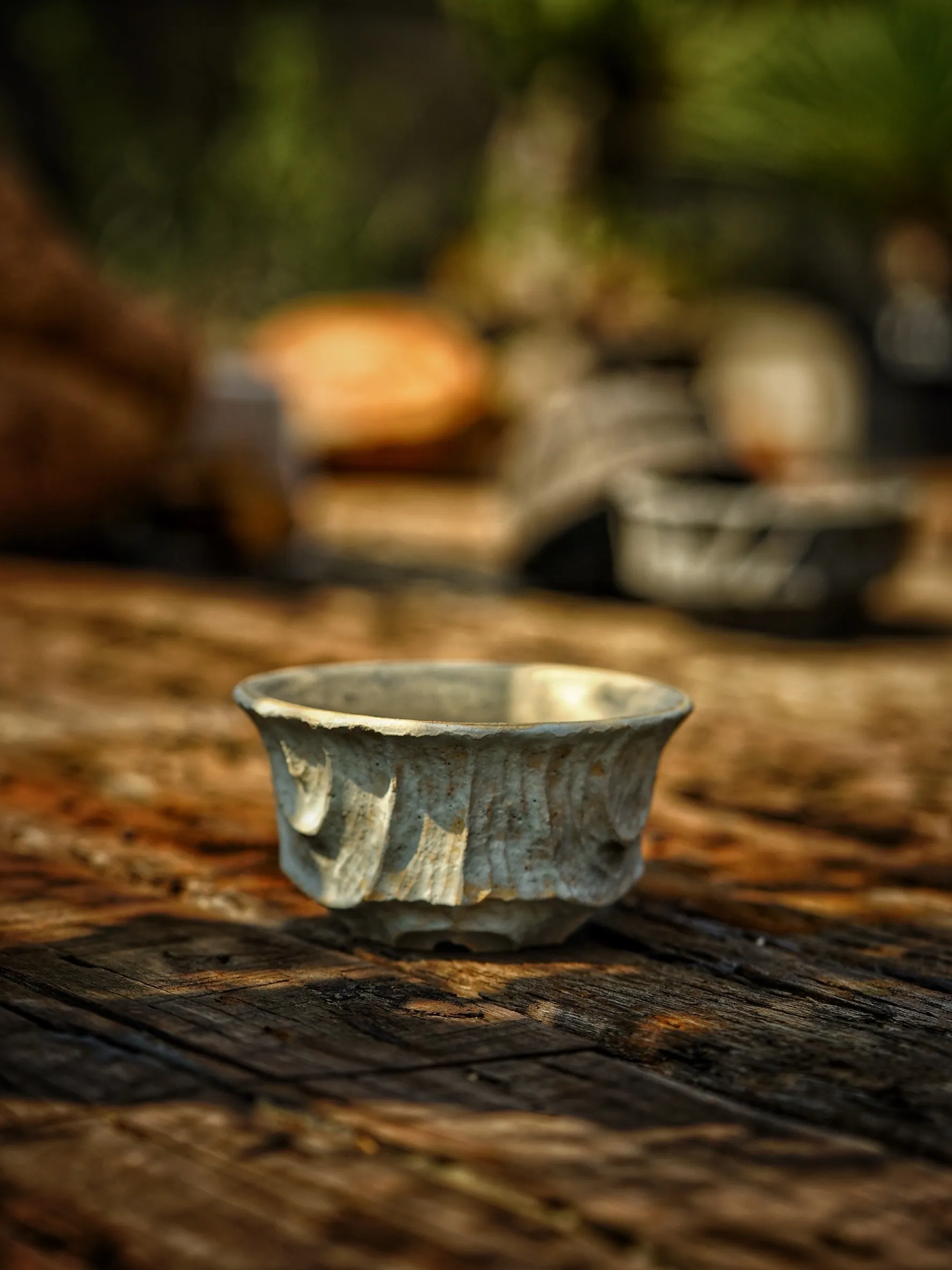 image_E4D2E822-05FC-4AF9-89FC-68F9BC420F15_1786086778